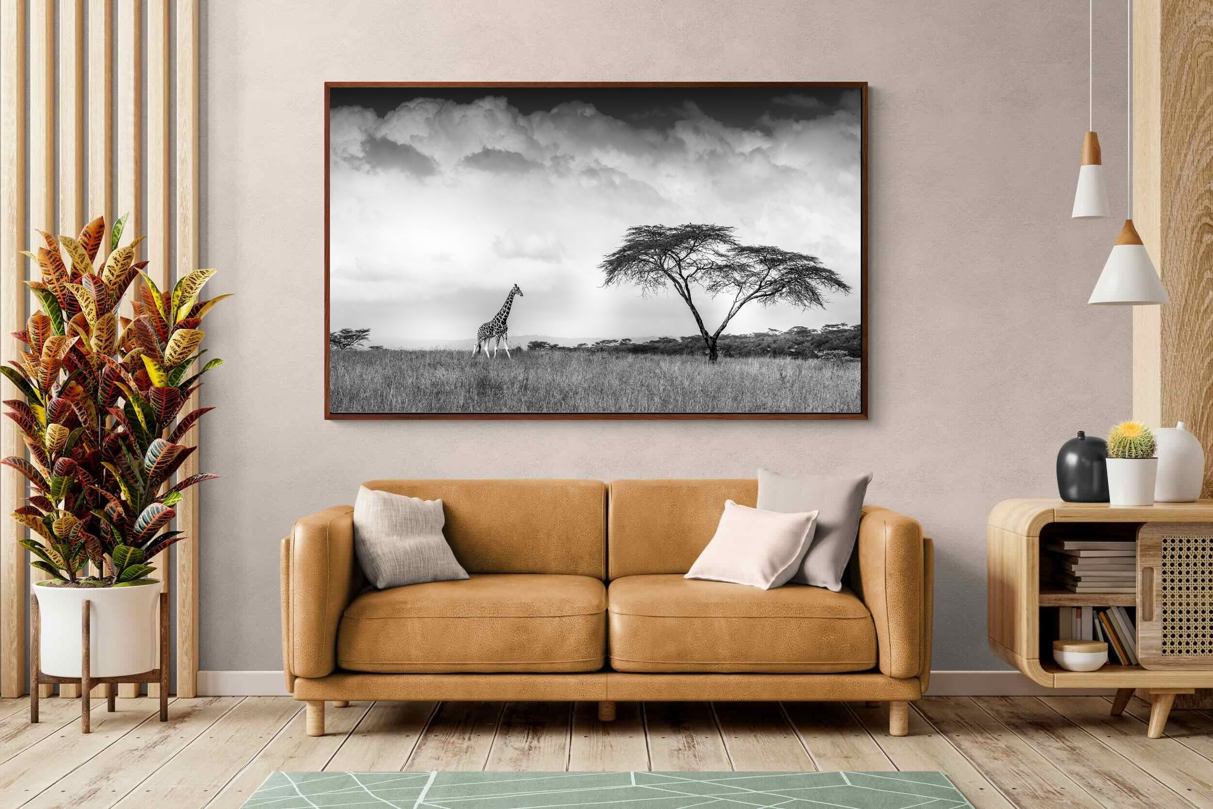 Pixalot ® Stormy Africa
