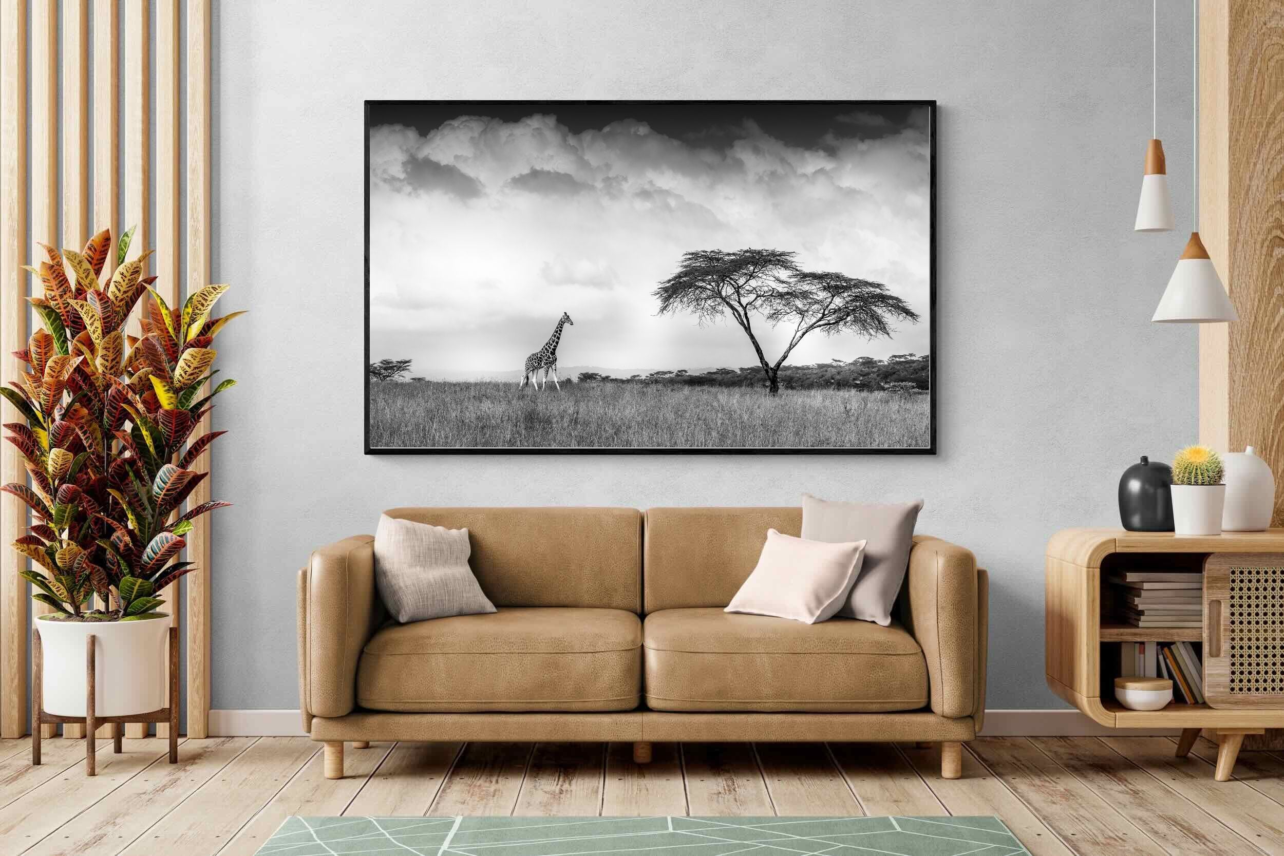 Pixalot ® Stormy Africa