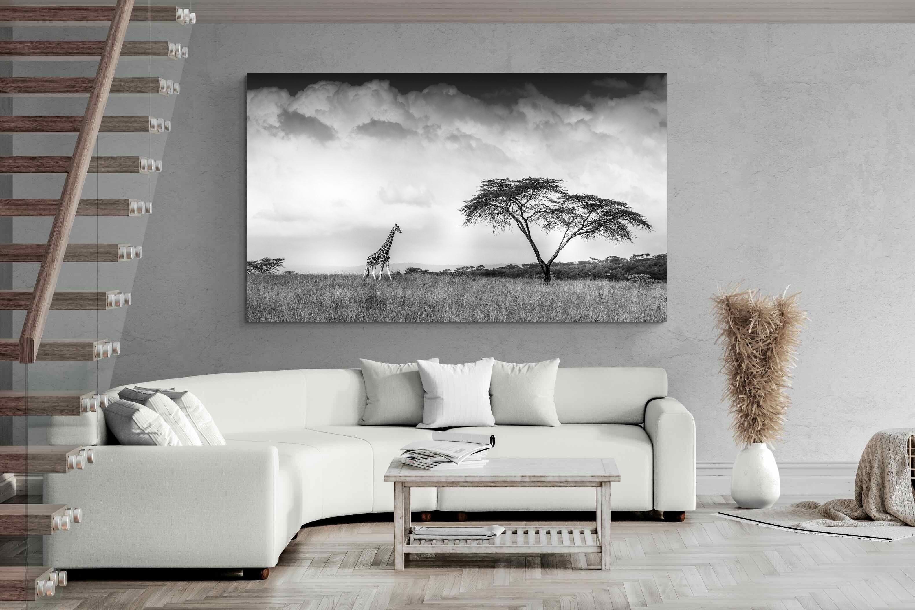 Pixalot ® Stormy Africa