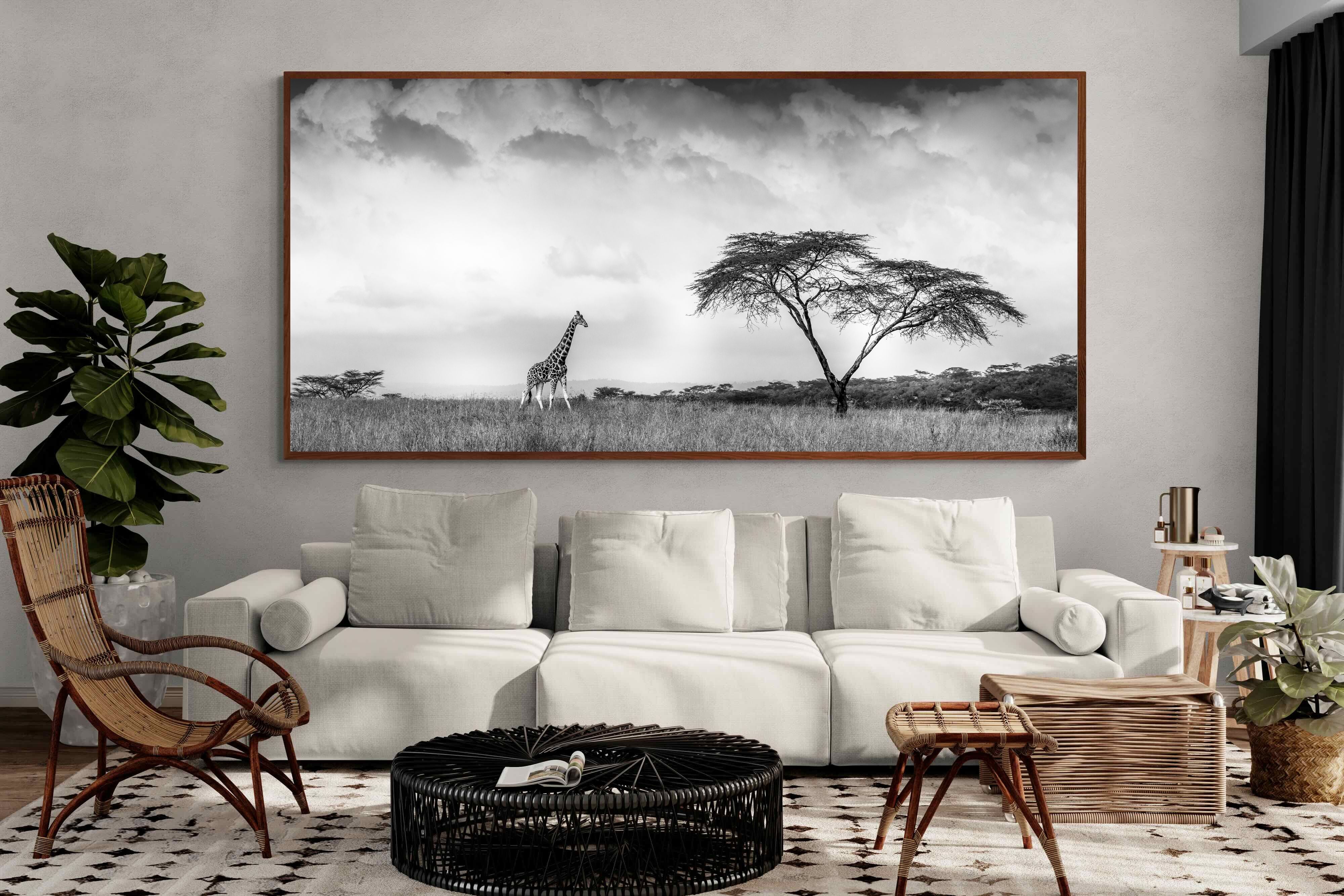 Pixalot ® Stormy Africa