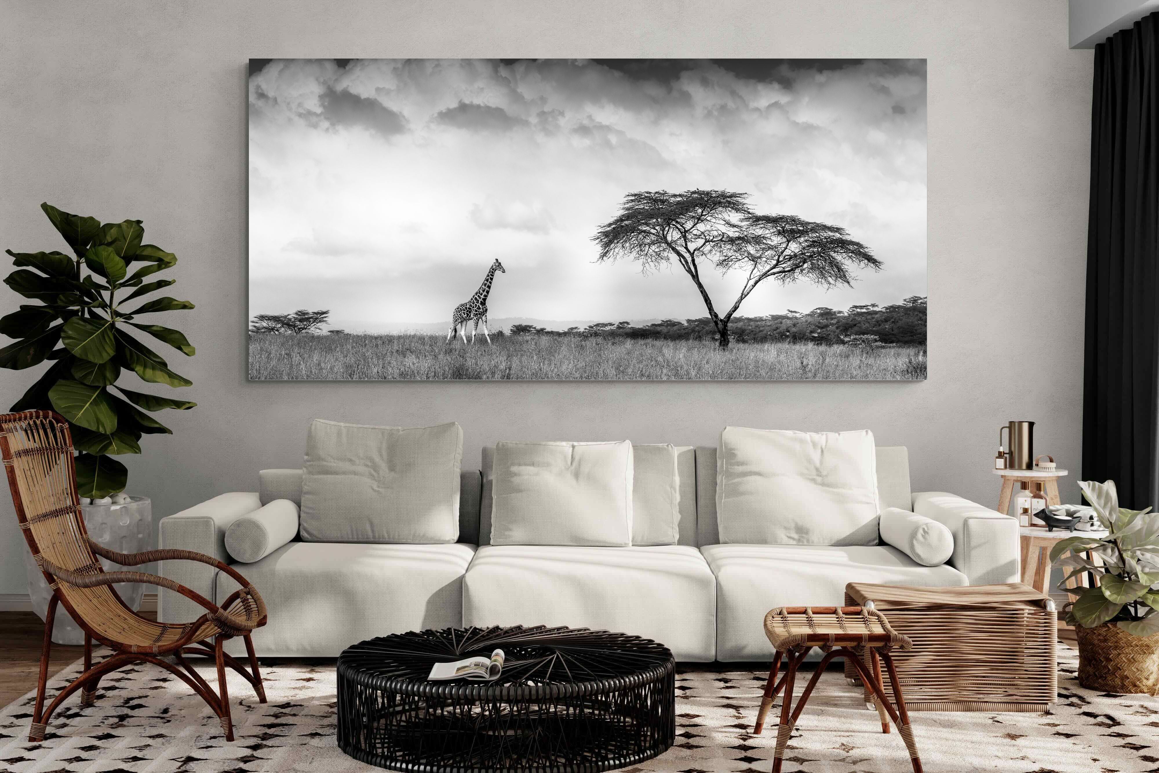 Pixalot ® Stormy Africa