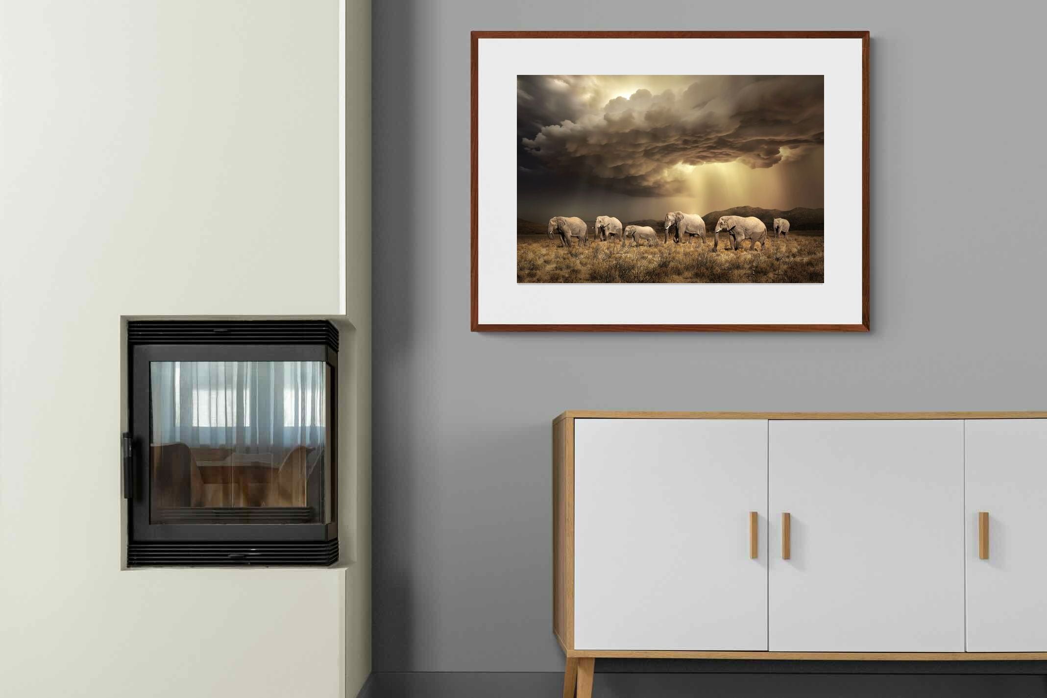 Pixalot Stormy Herd