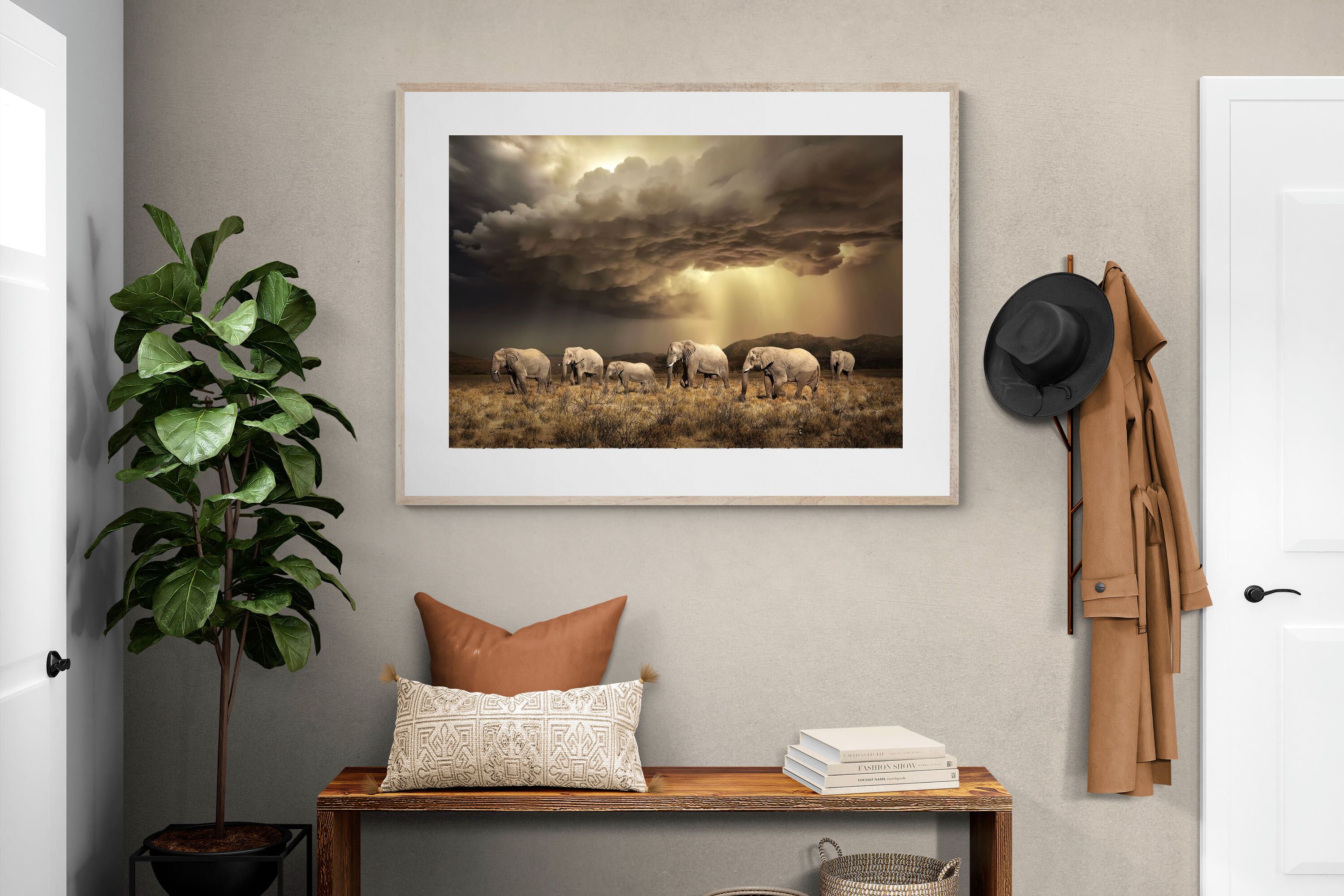 Pixalot Stormy Herd