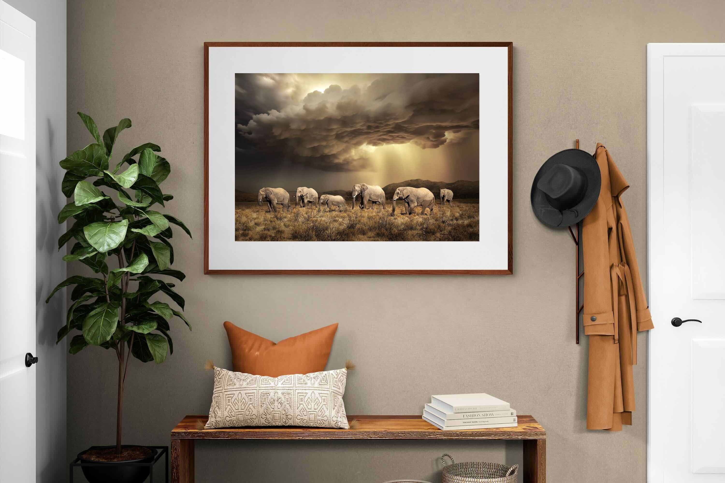Pixalot Stormy Herd