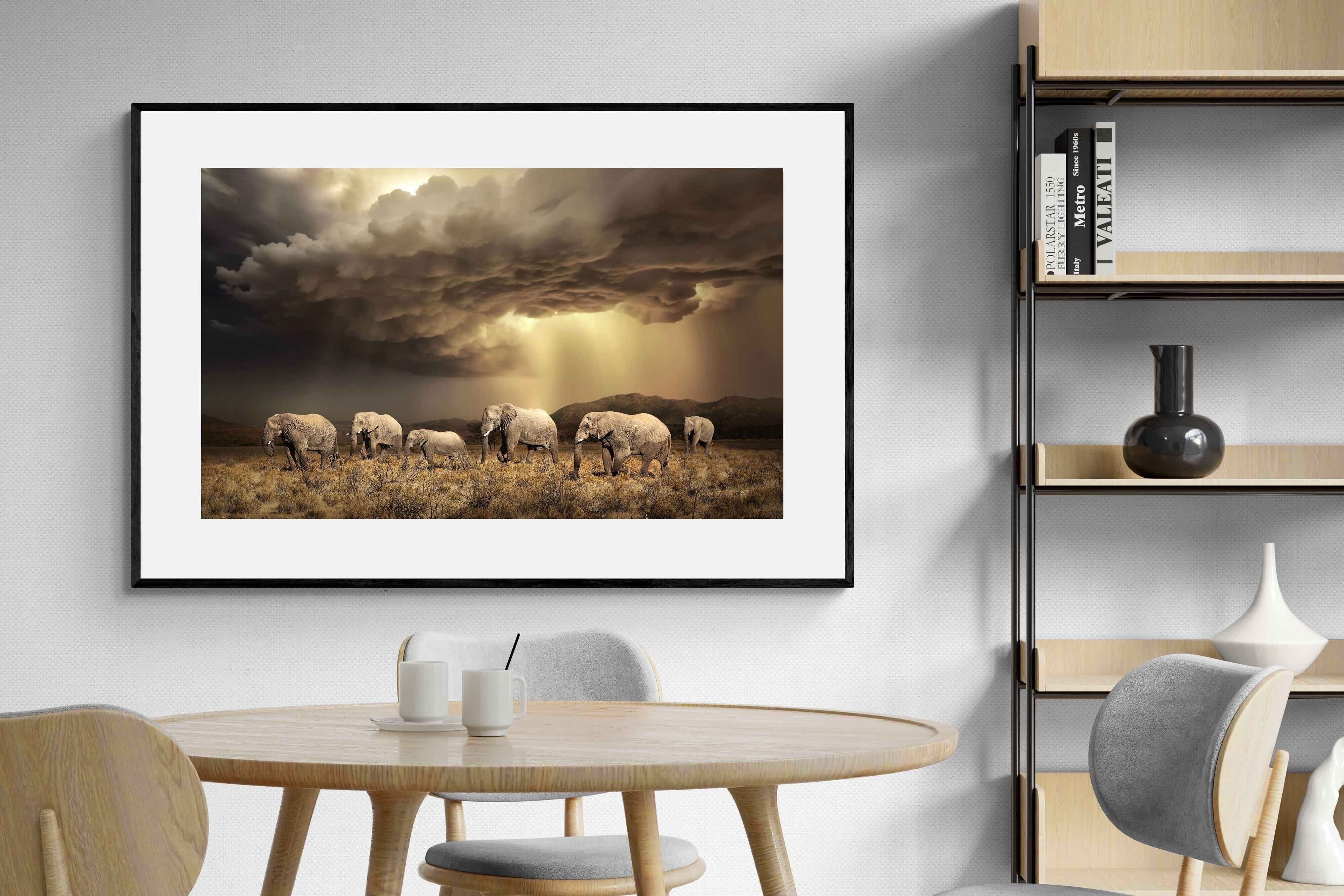 Pixalot Stormy Herd