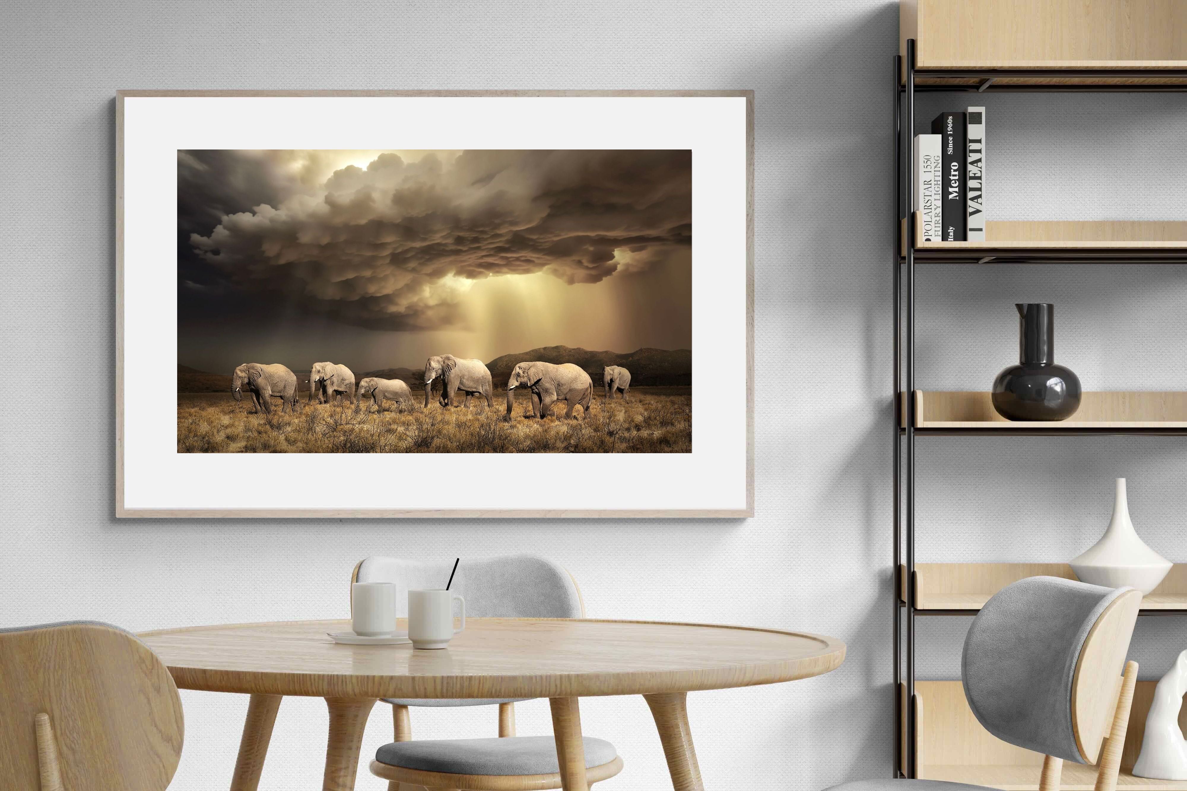 Pixalot Stormy Herd