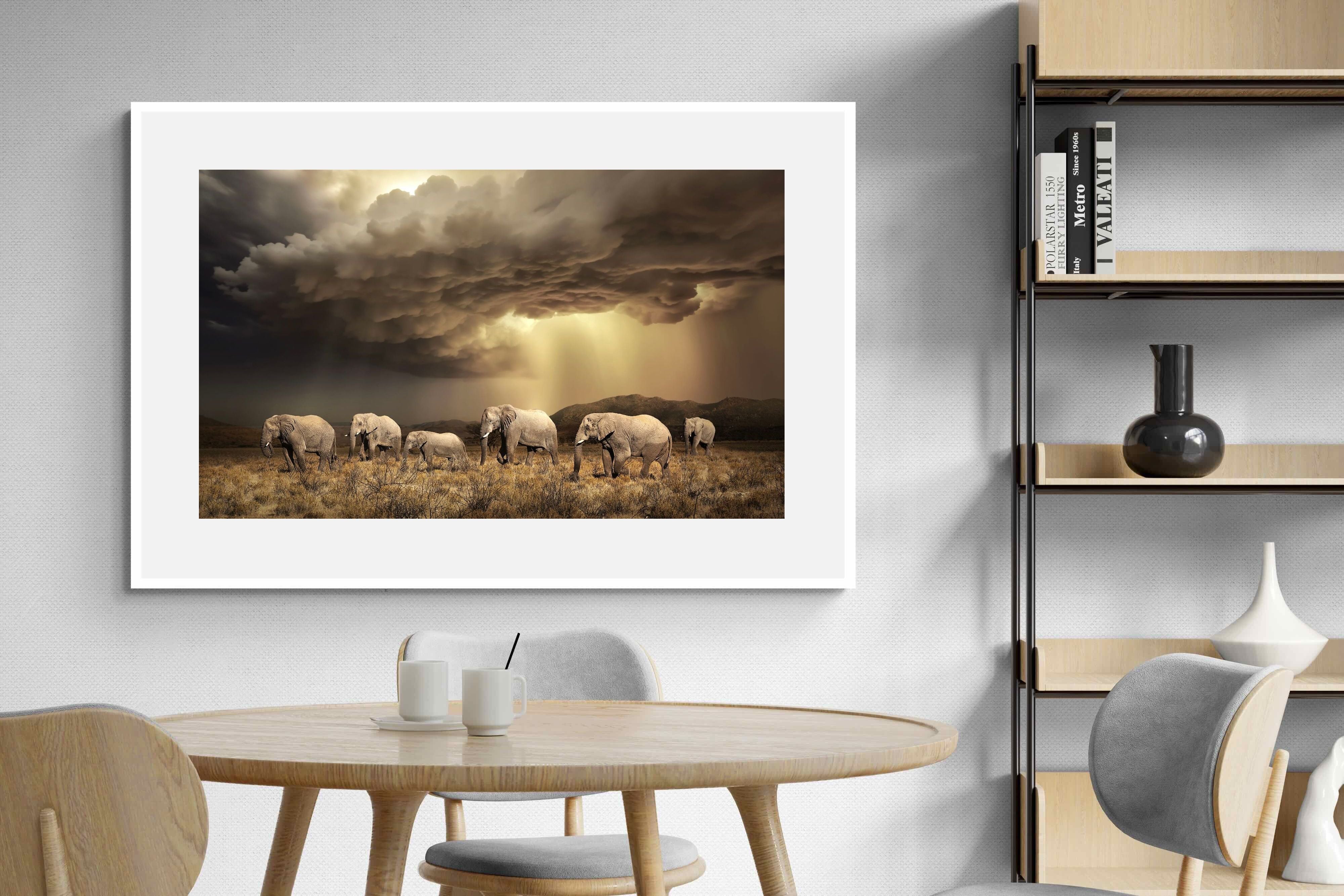 Pixalot Stormy Herd