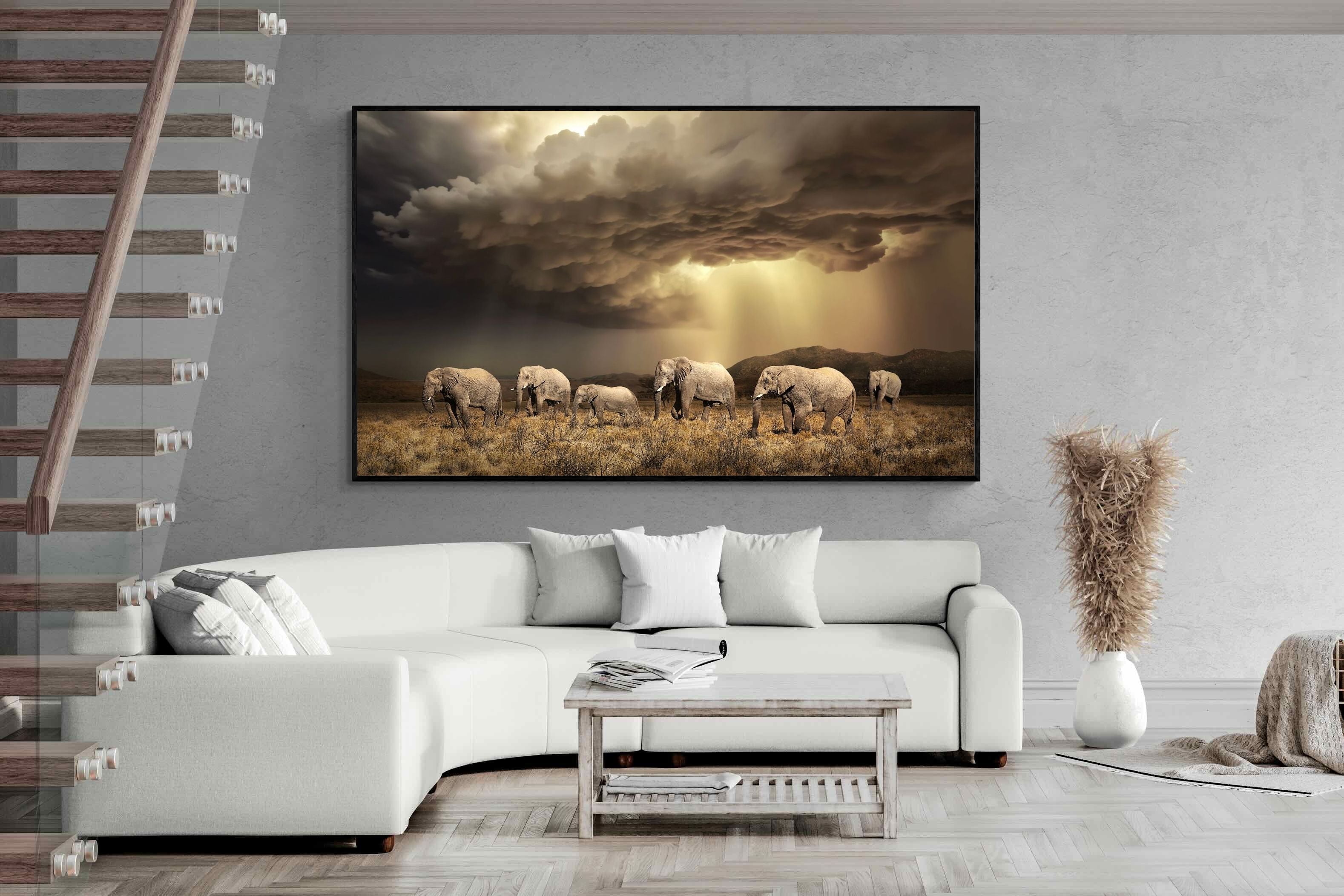 Pixalot Stormy Herd