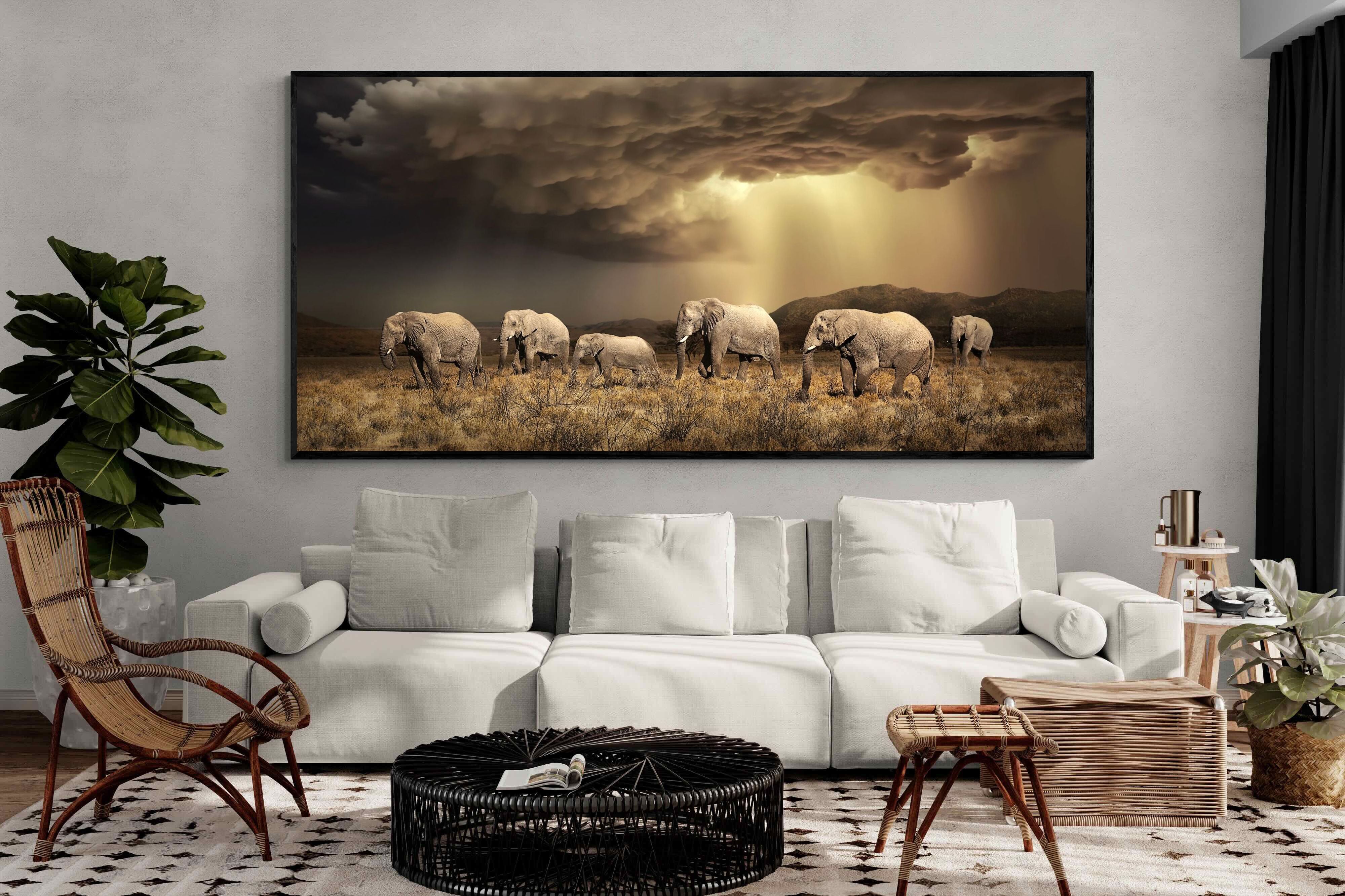 Pixalot Stormy Herd