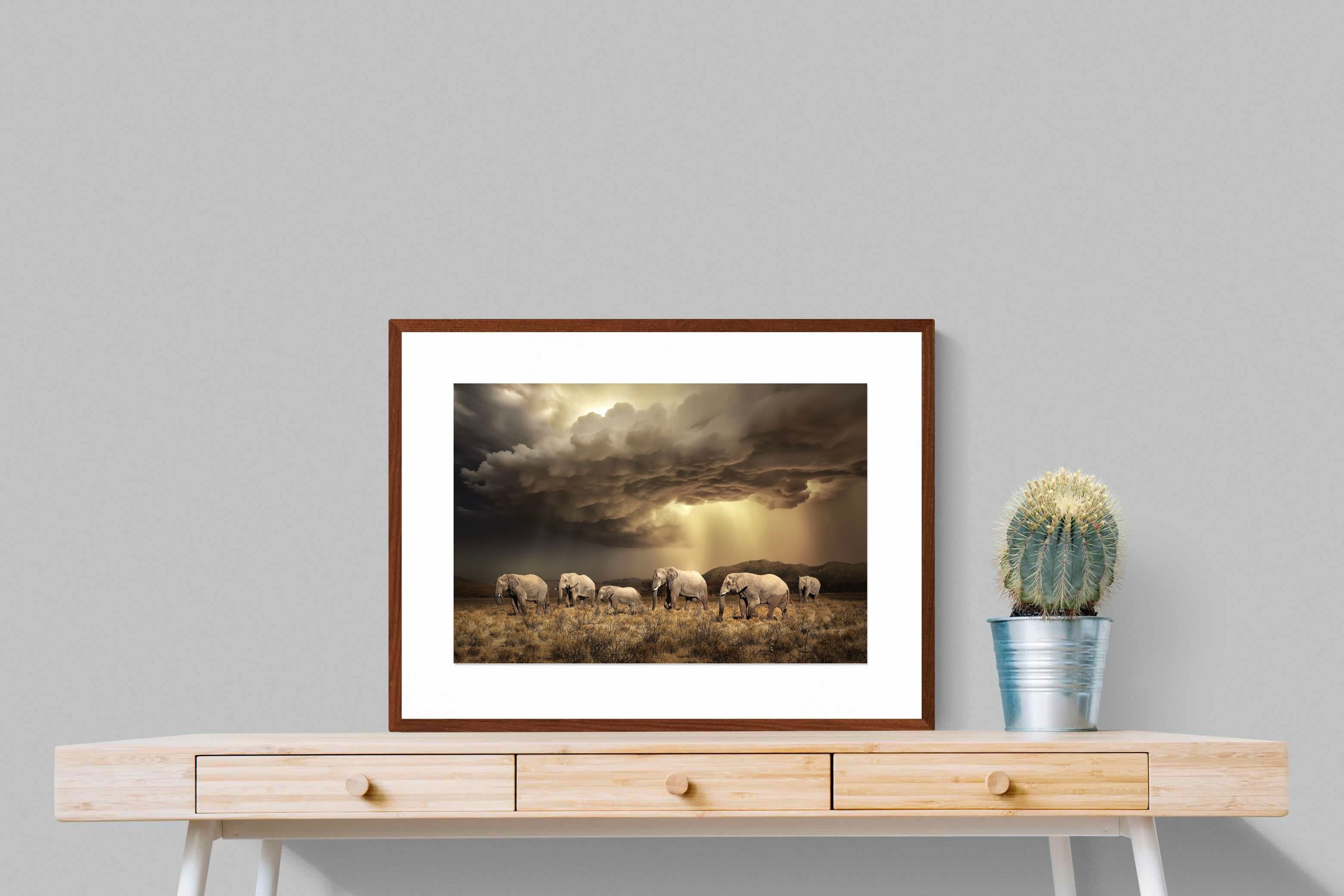 Pixalot Stormy Herd