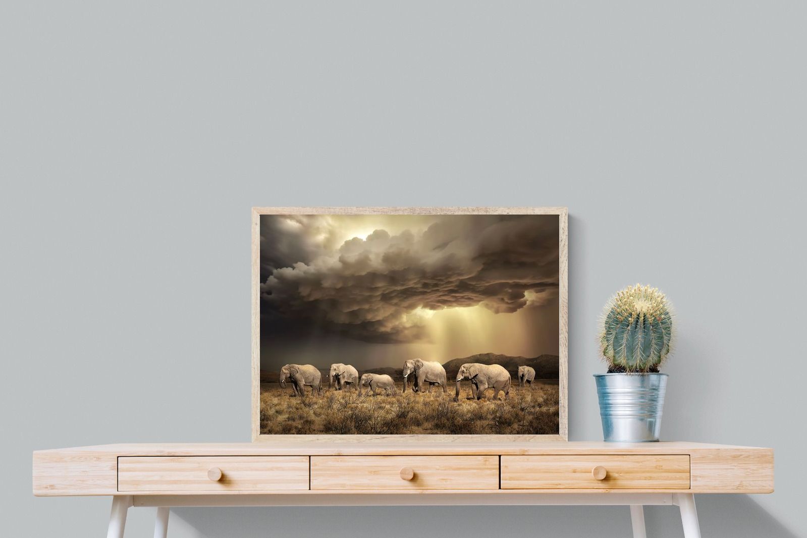 Pixalot Stormy Herd