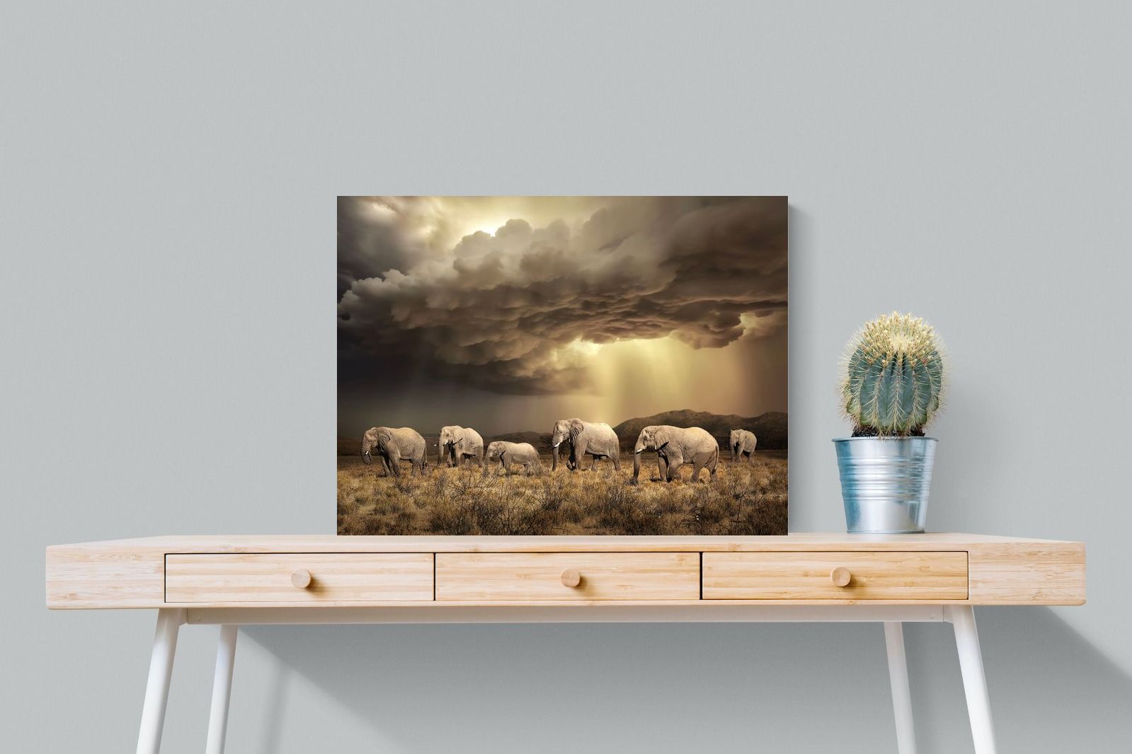 Pixalot Stormy Herd