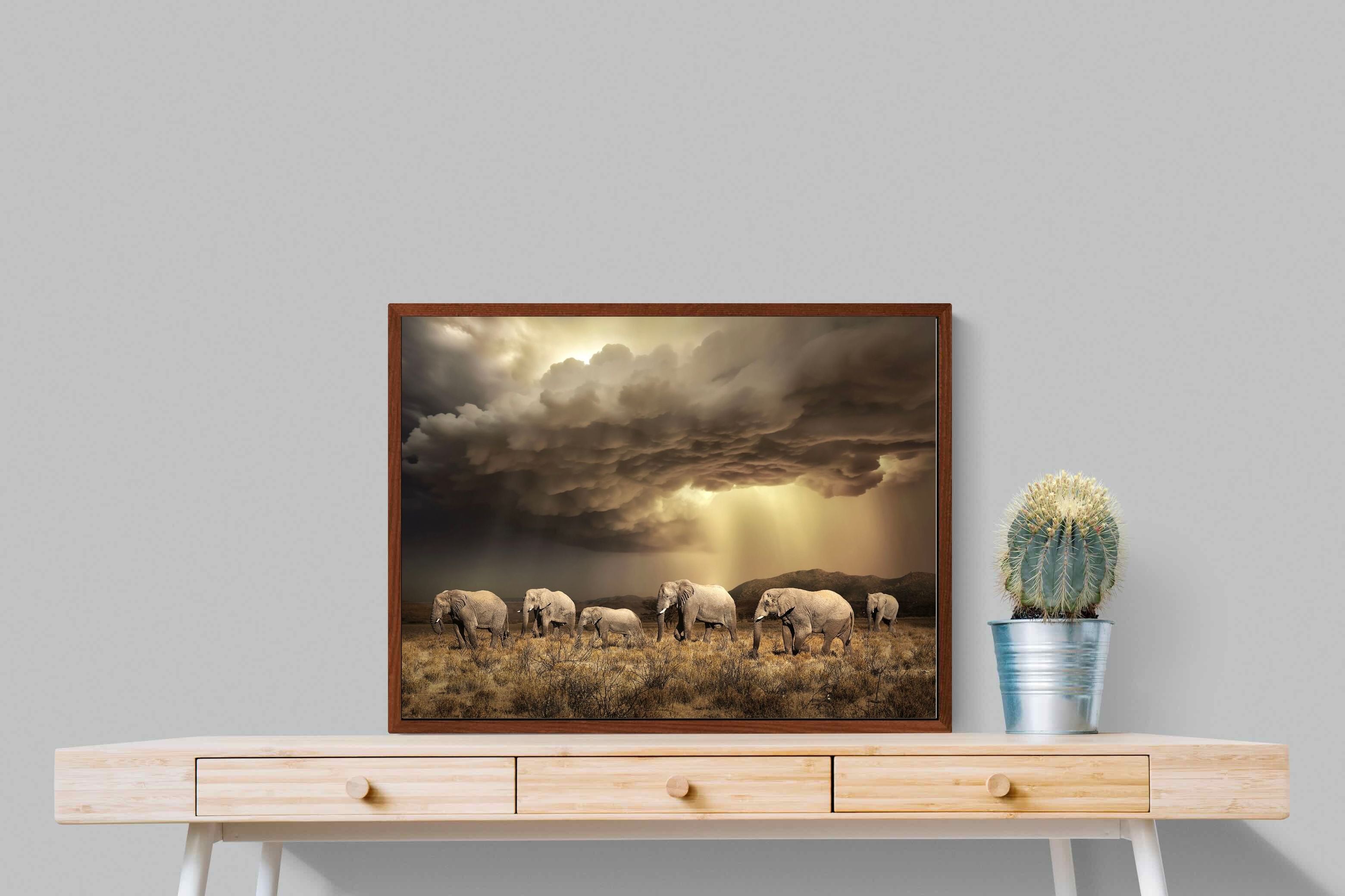 Pixalot Stormy Herd