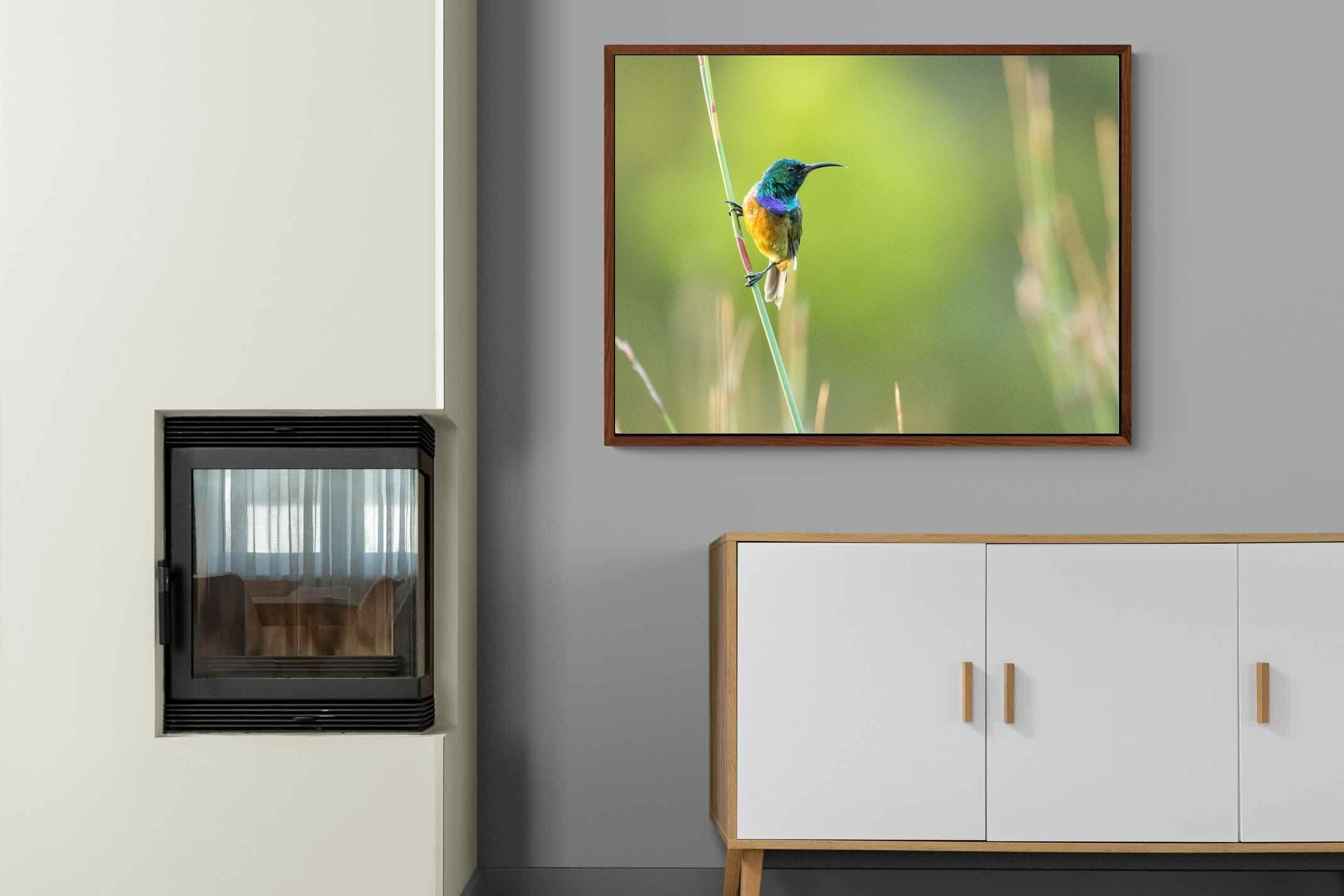 Pixalot ® Sunbird
