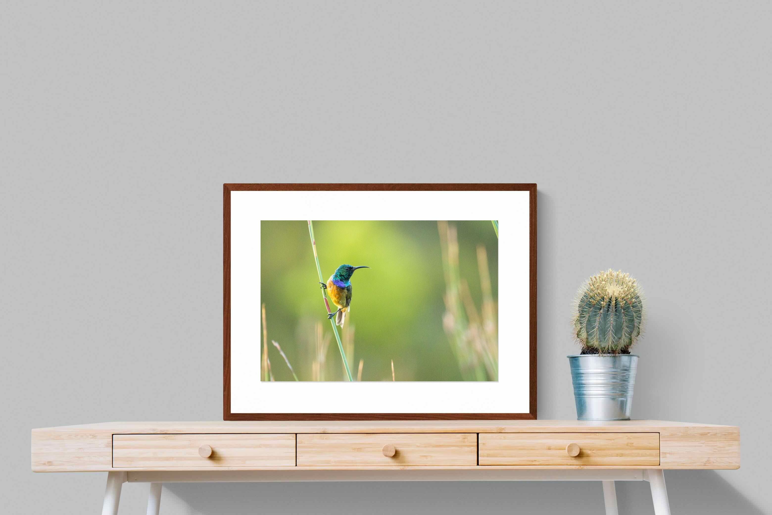Pixalot ® Sunbird