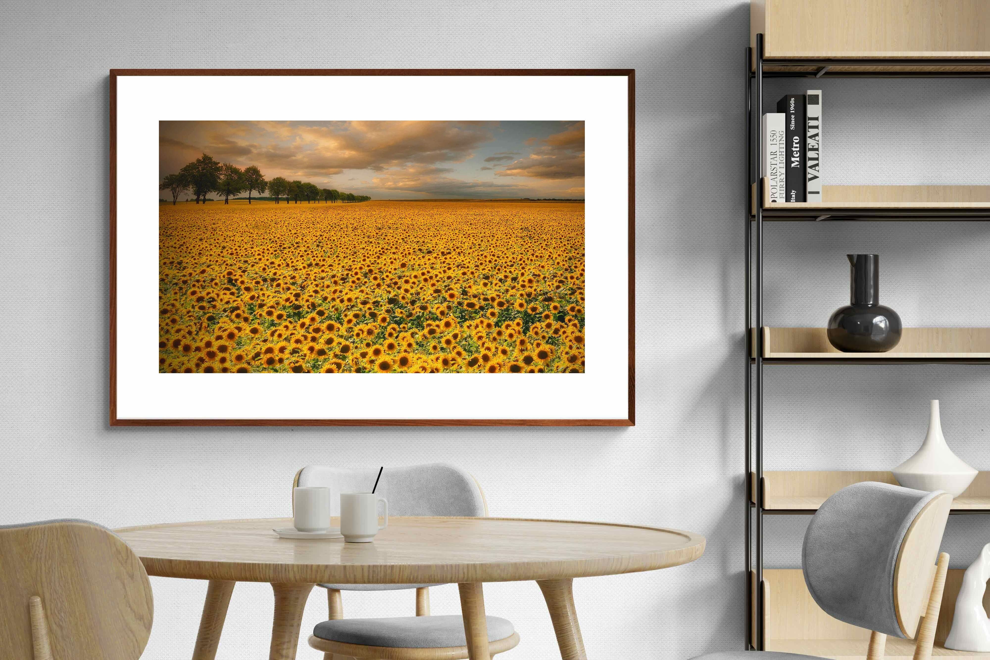 Pixalot ® Sunflower Field