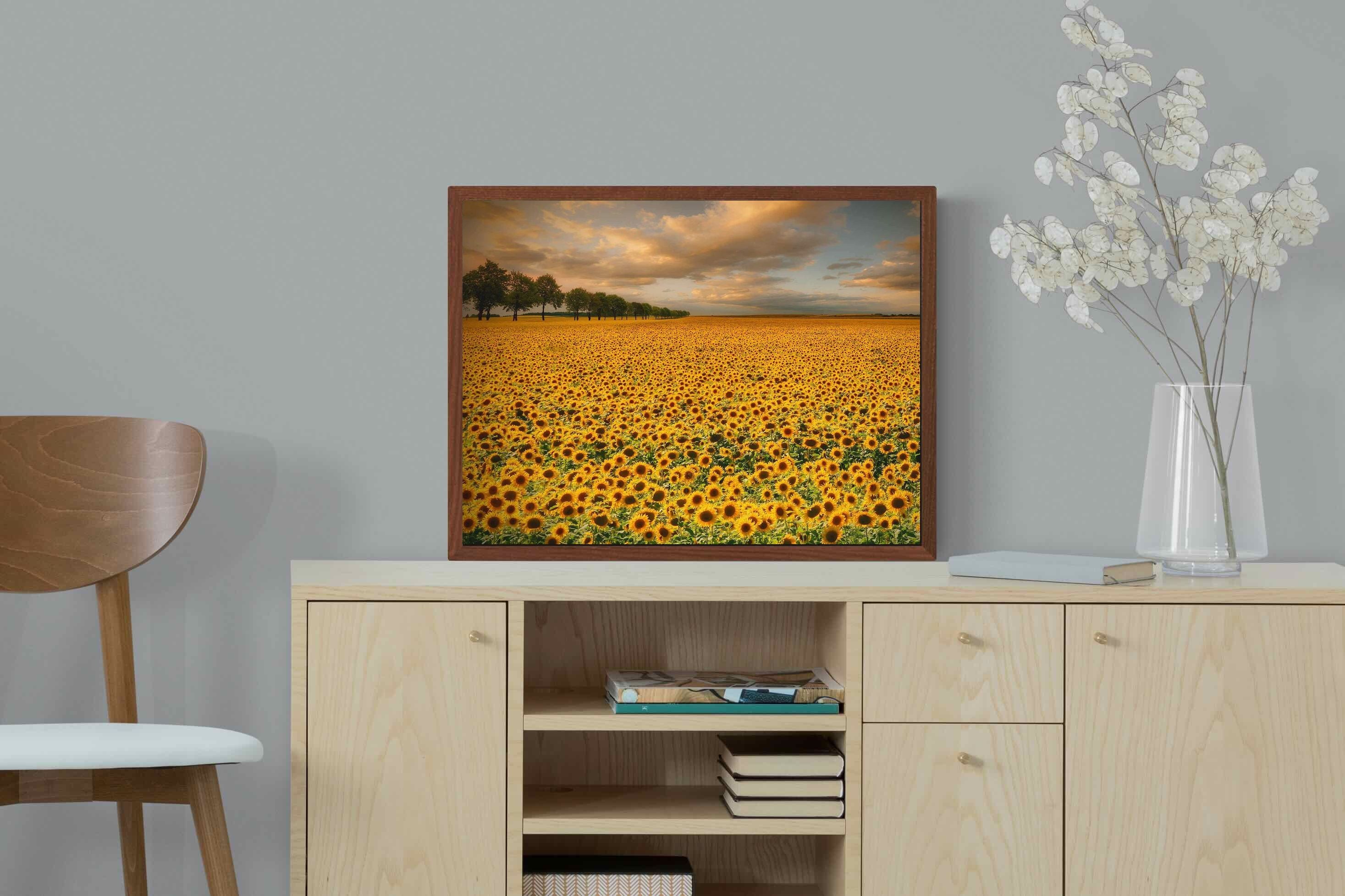 Pixalot ® Sunflower Field