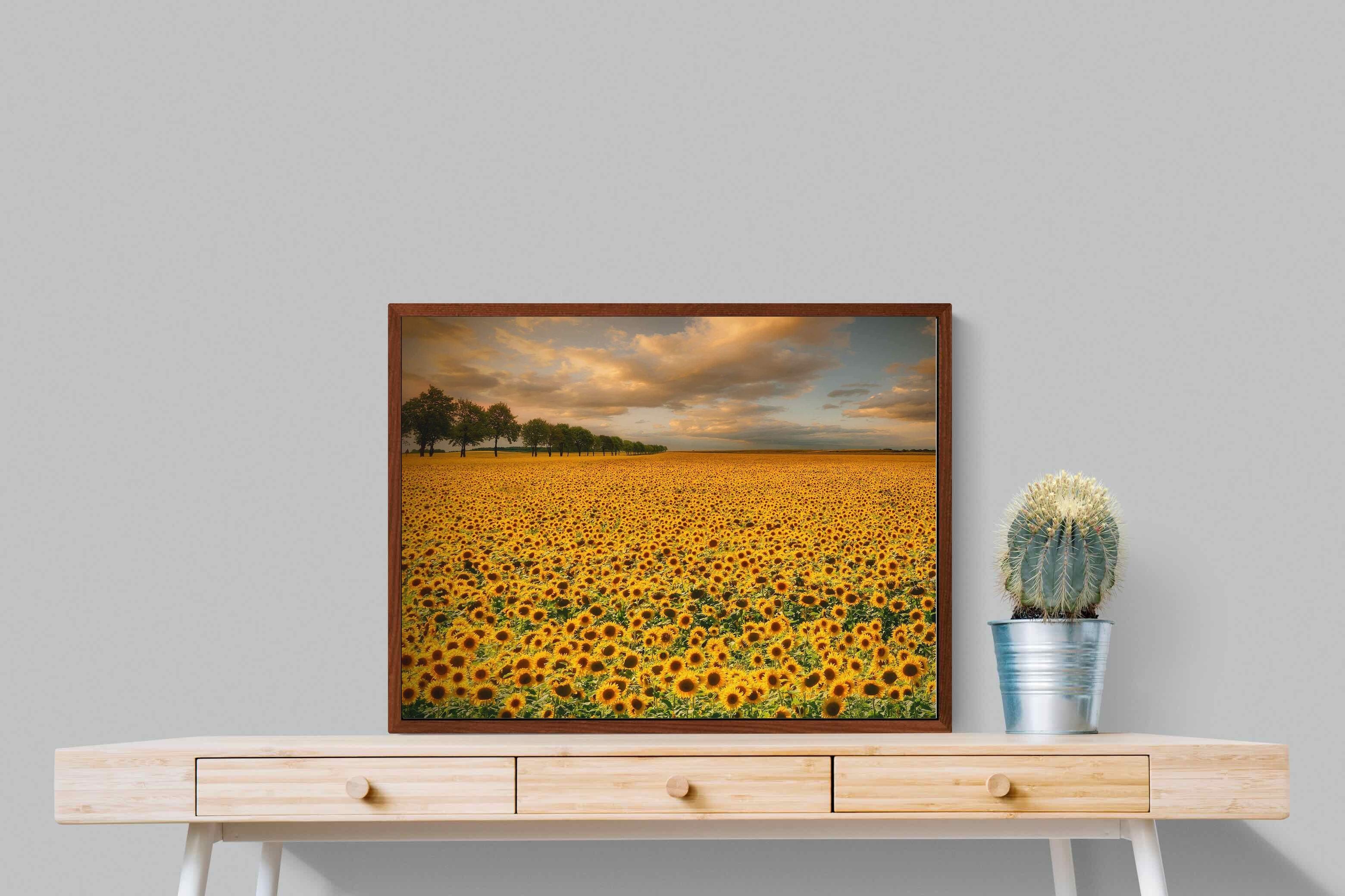 Pixalot ® Sunflower Field