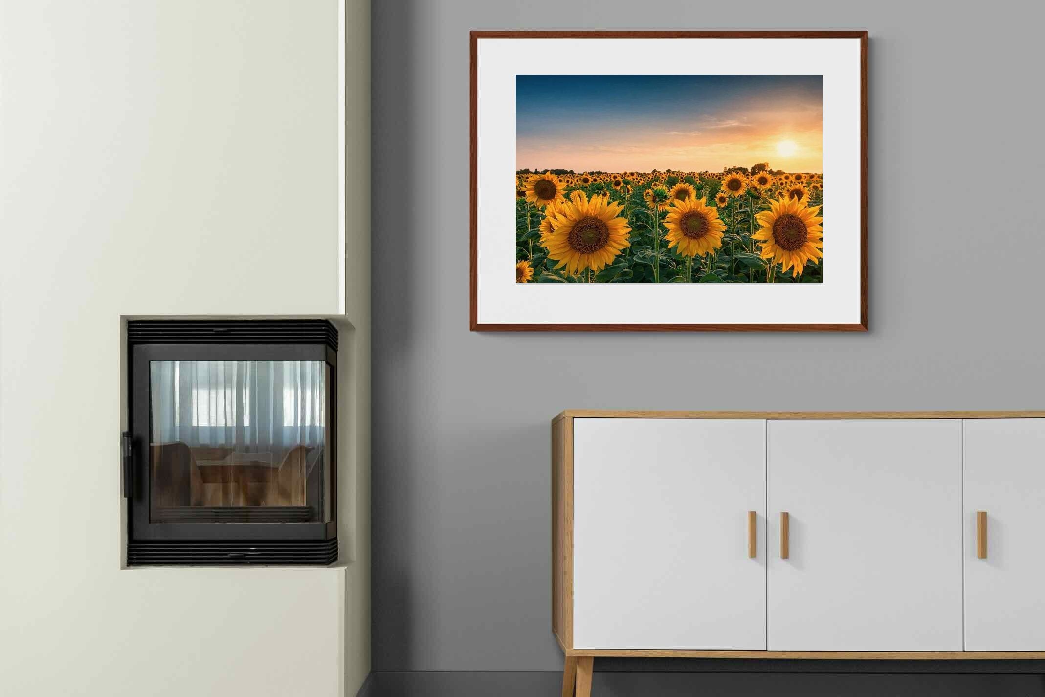 Pixalot ® Sunflowers