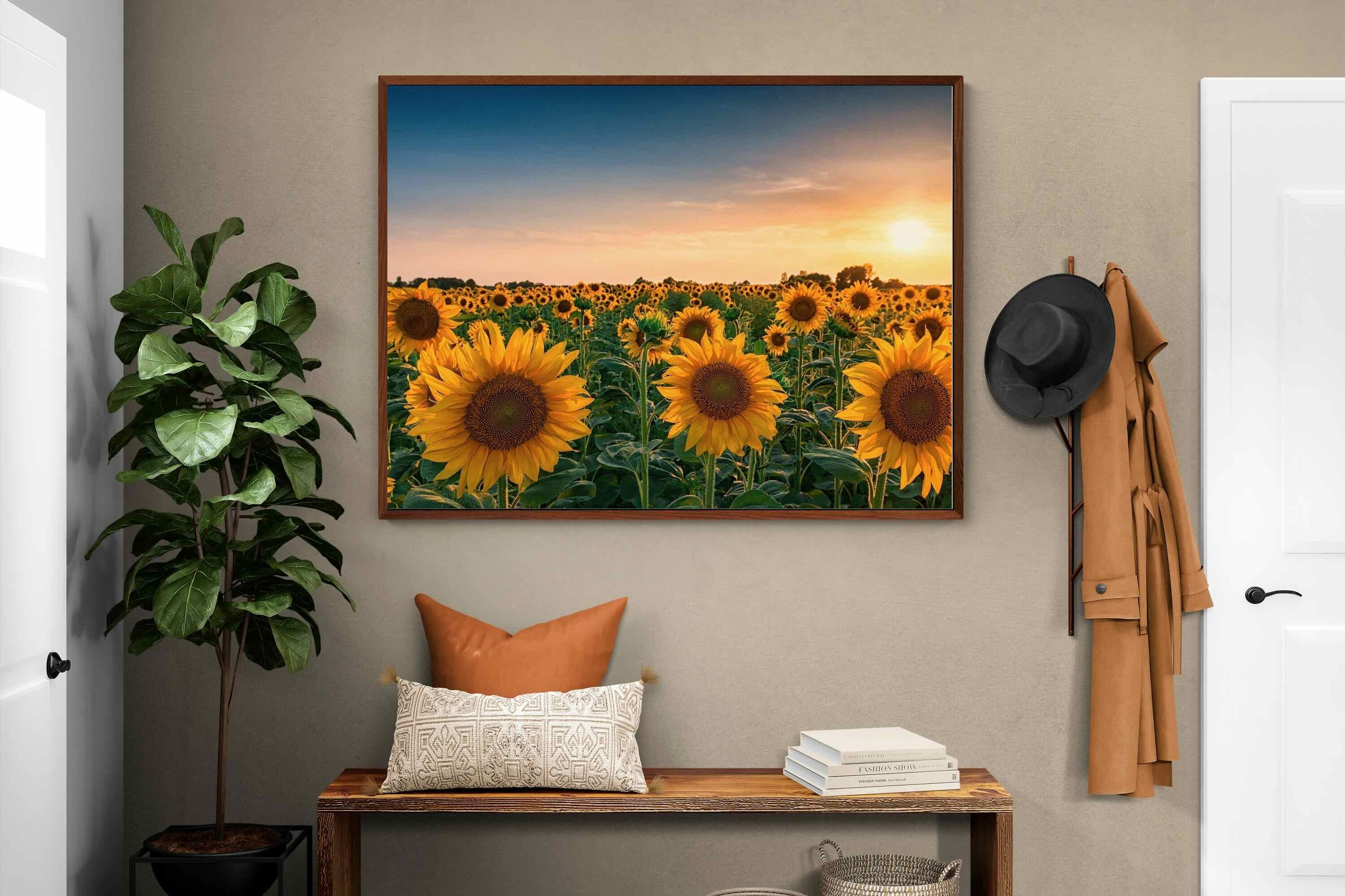 Pixalot ® Sunflowers
