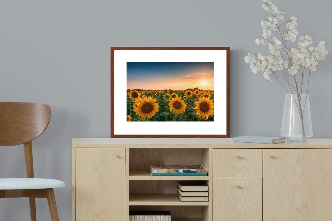Pixalot ® Sunflowers