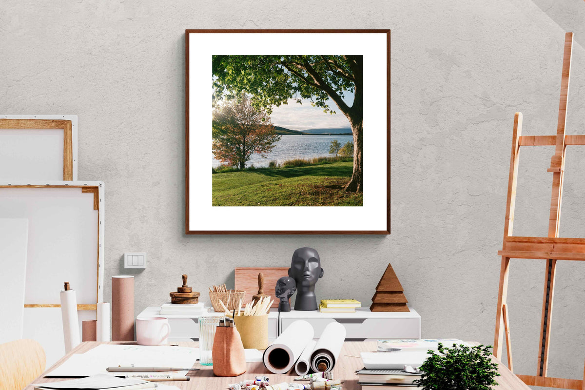 Pixalot ® Sunny Lakeside Landscape