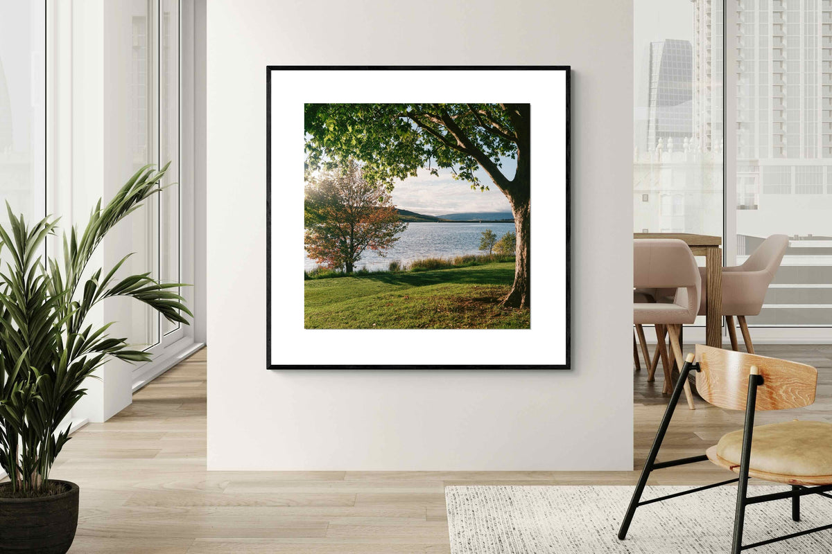 Pixalot ® Sunny Lakeside Landscape