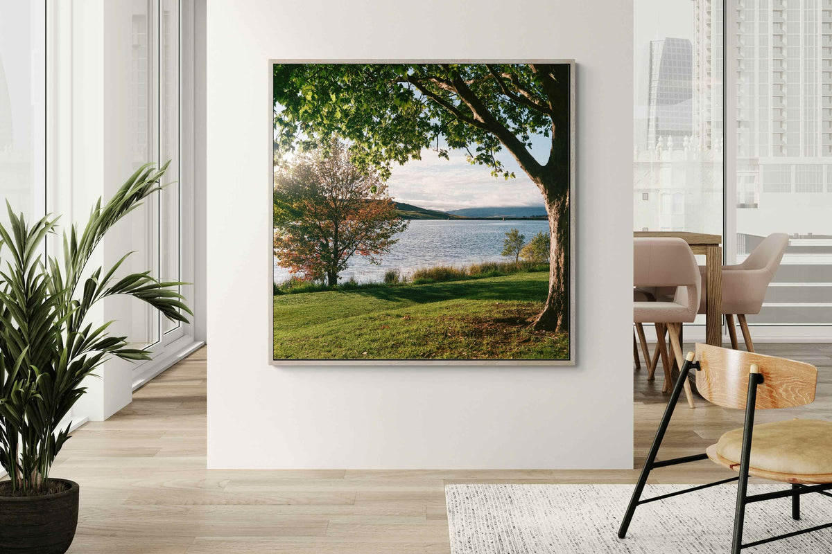 Pixalot ® Sunny Lakeside Landscape