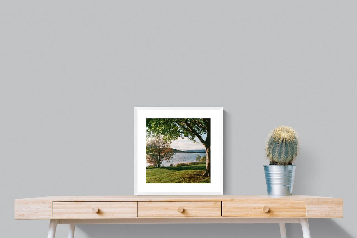 Pixalot ® Sunny Lakeside Landscape