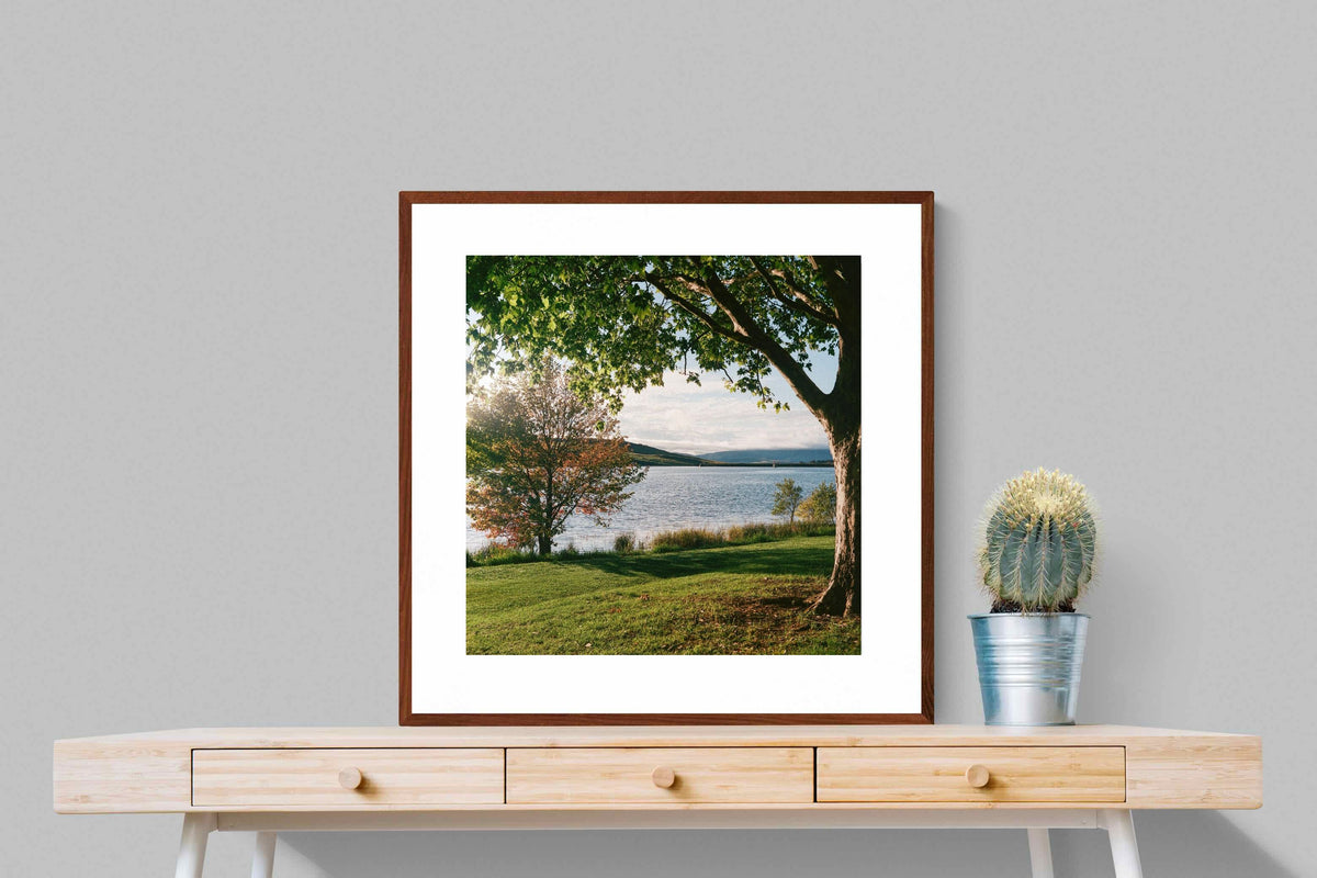 Pixalot ® Sunny Lakeside Landscape