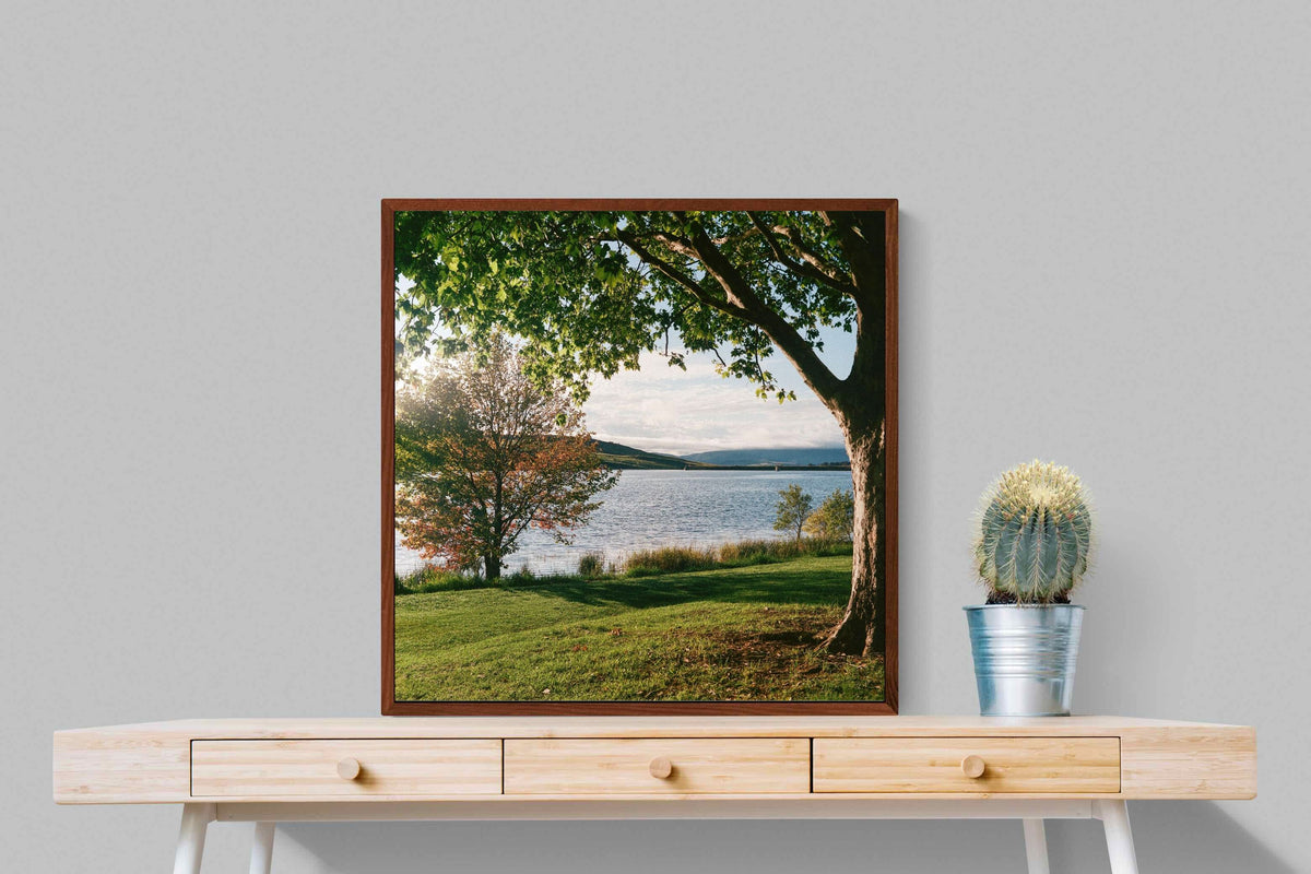 Pixalot ® Sunny Lakeside Landscape