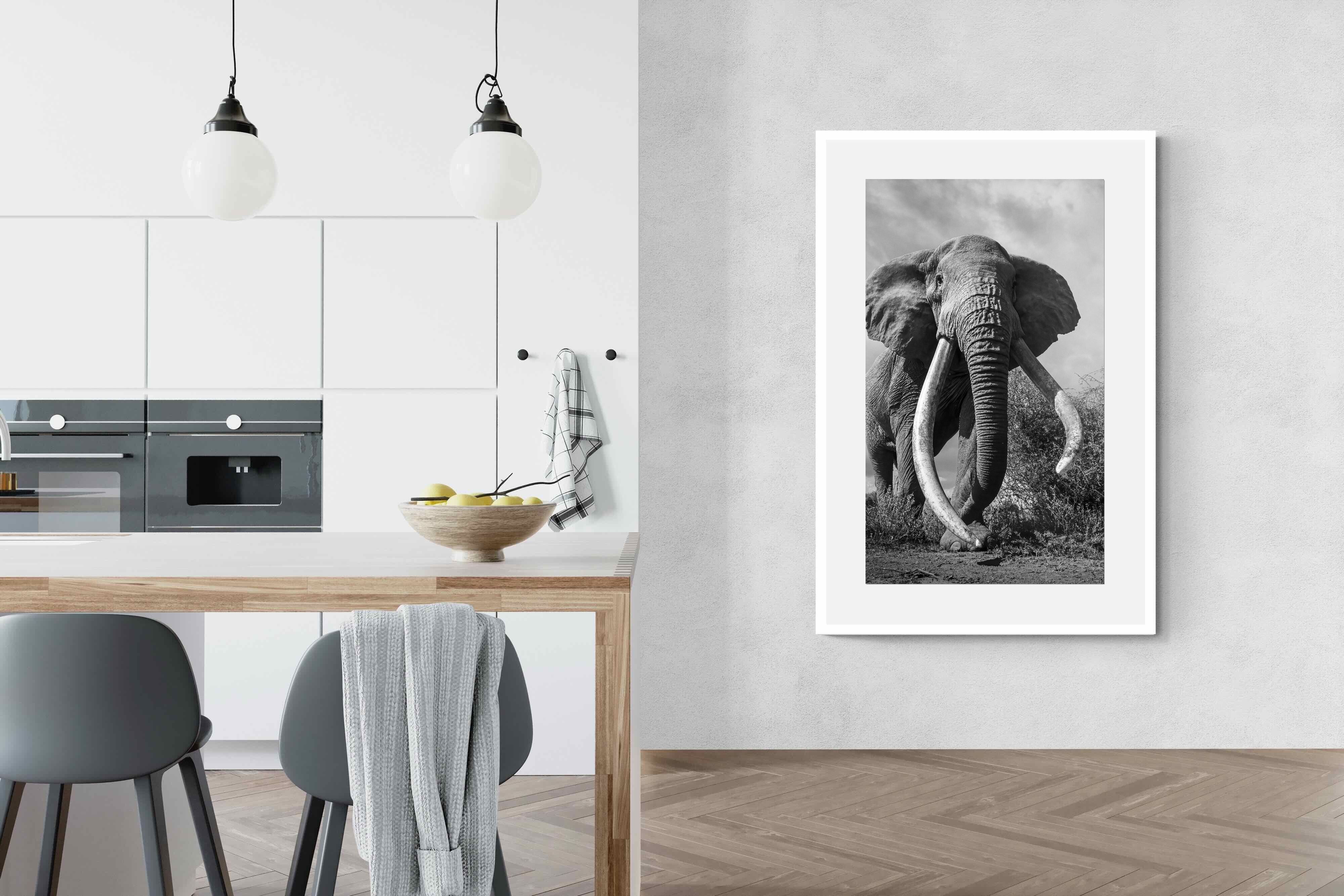 Pixalot Super Tusker