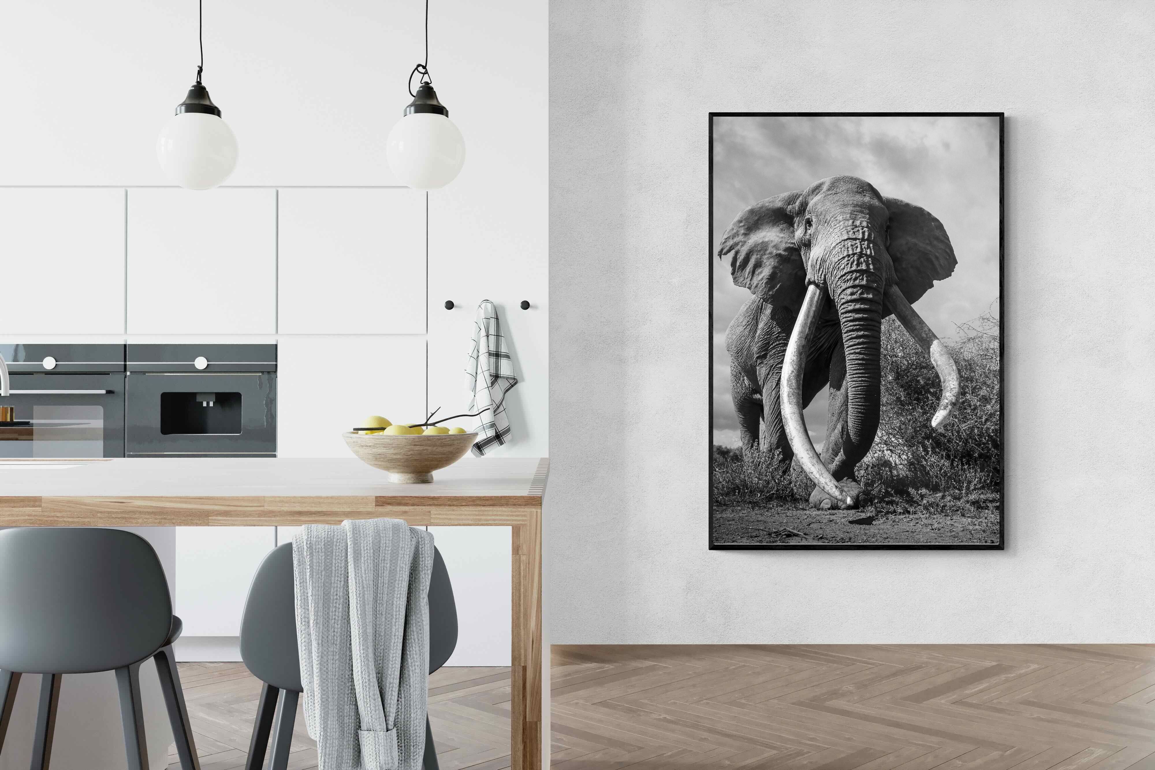 Pixalot Super Tusker