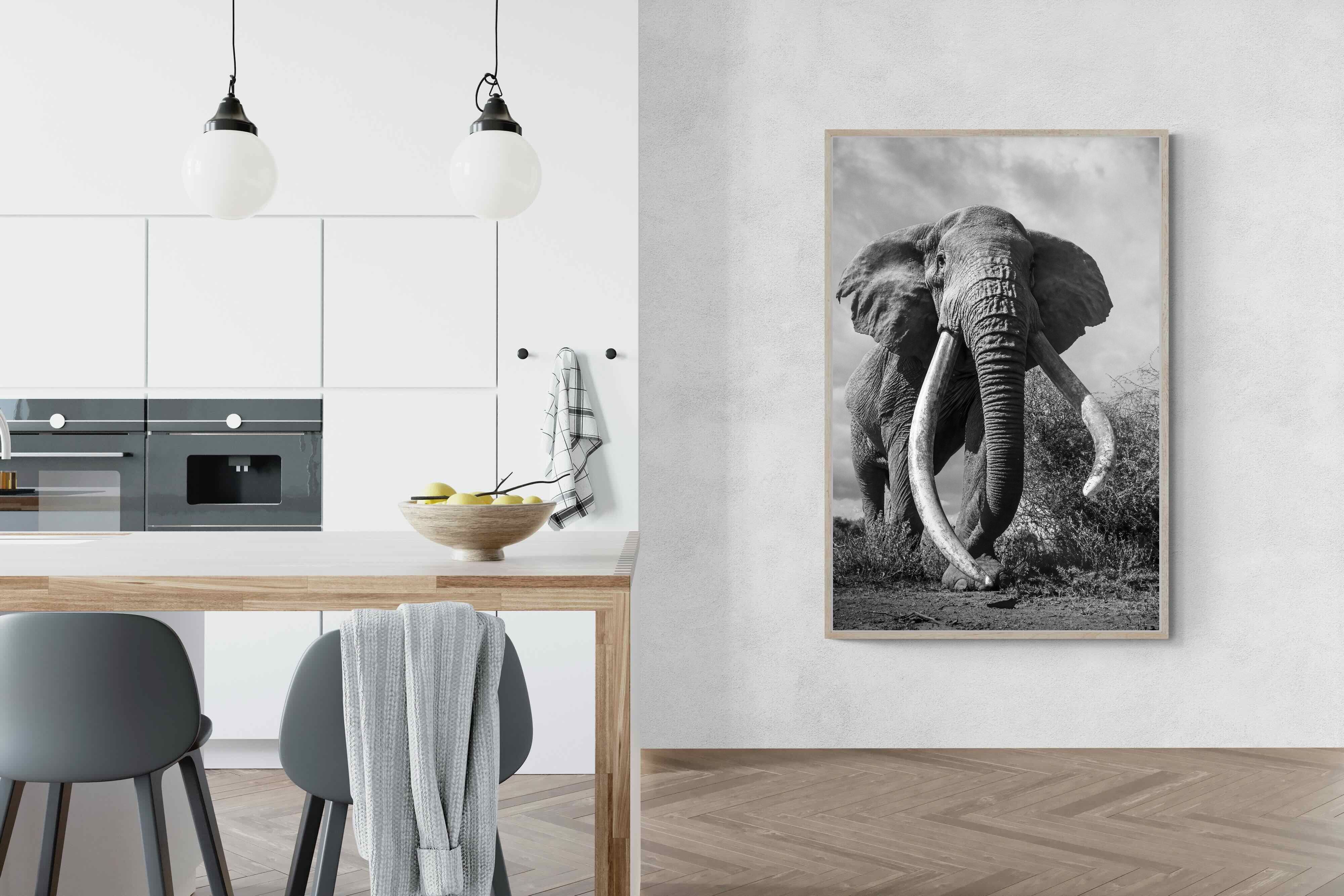 Pixalot Super Tusker