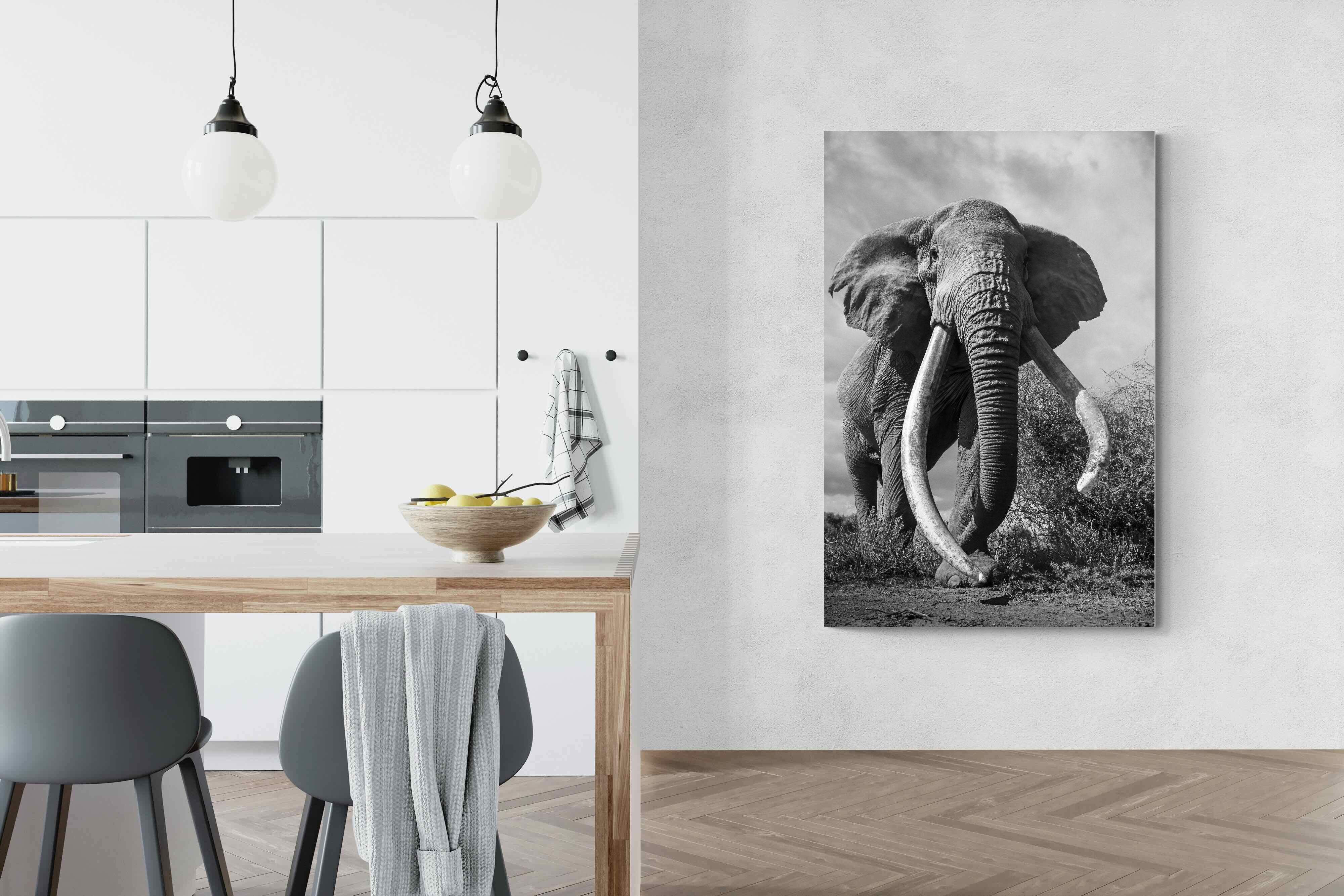 Pixalot Super Tusker