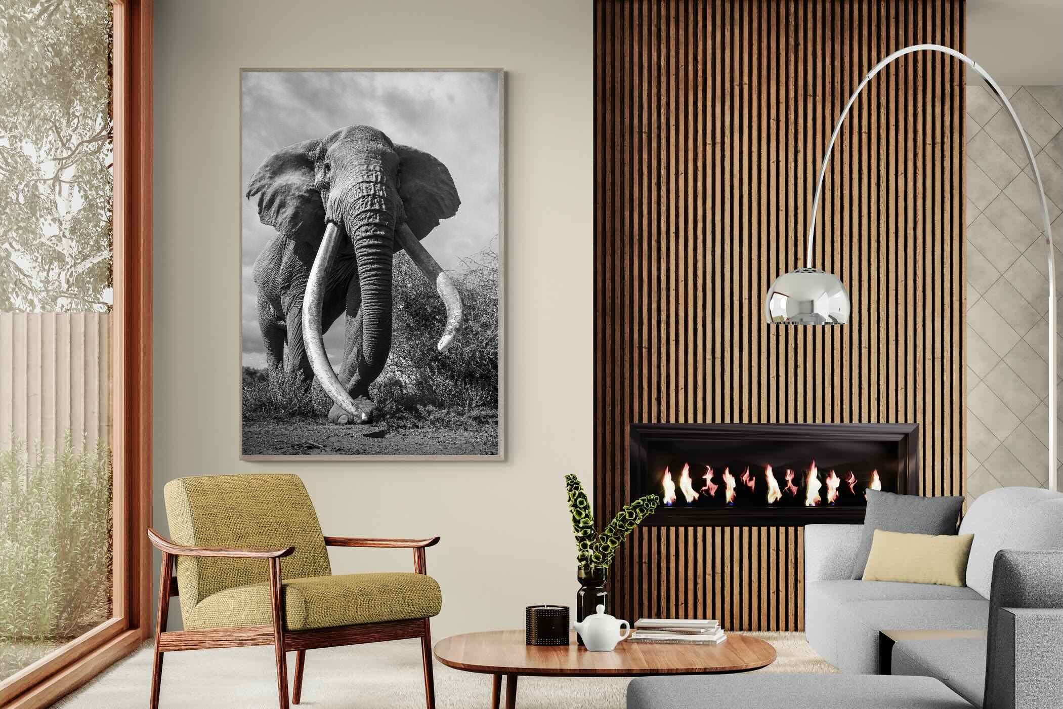 Pixalot Super Tusker