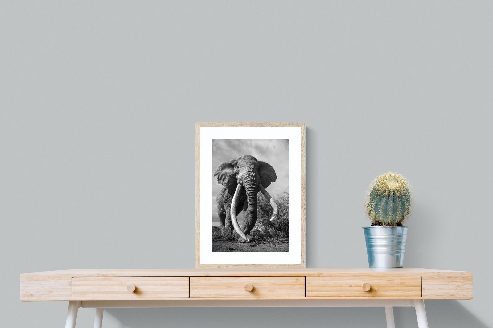 Pixalot Super Tusker