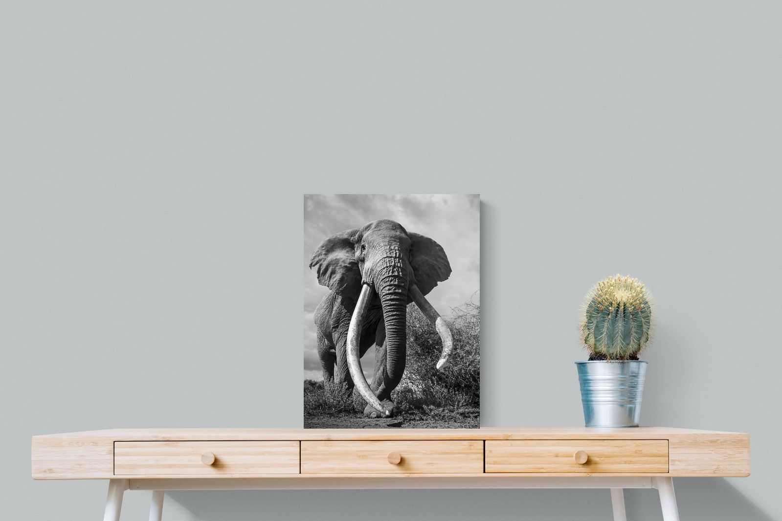 Pixalot Super Tusker