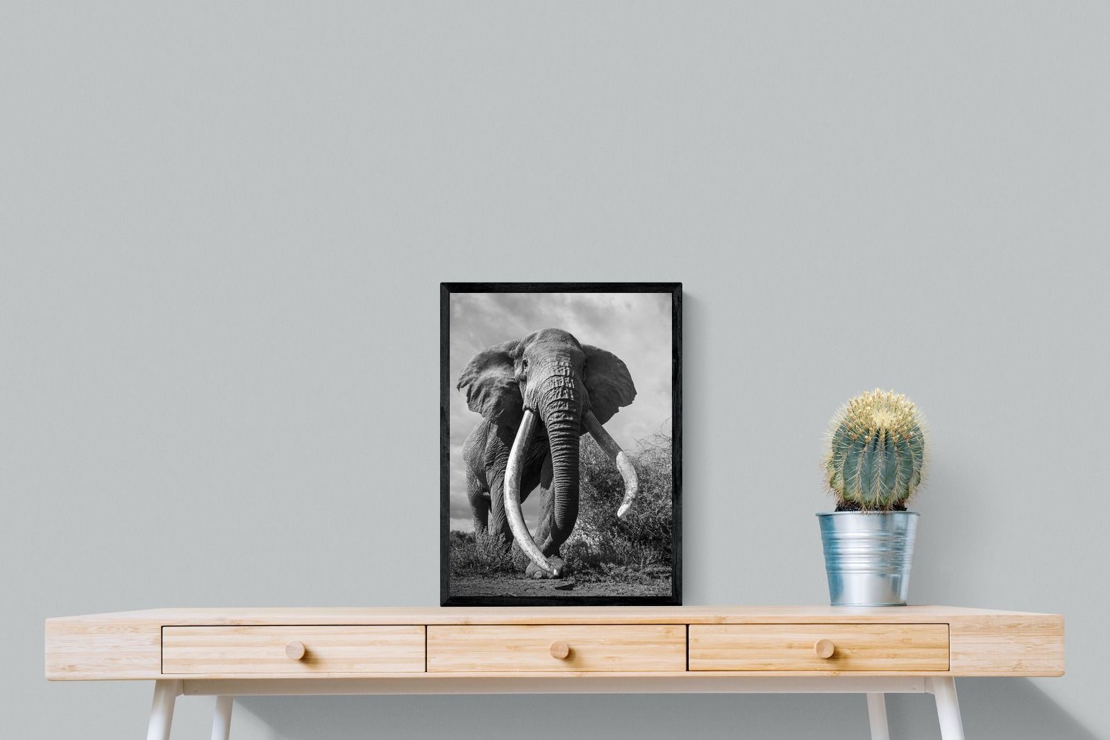 Pixalot Super Tusker