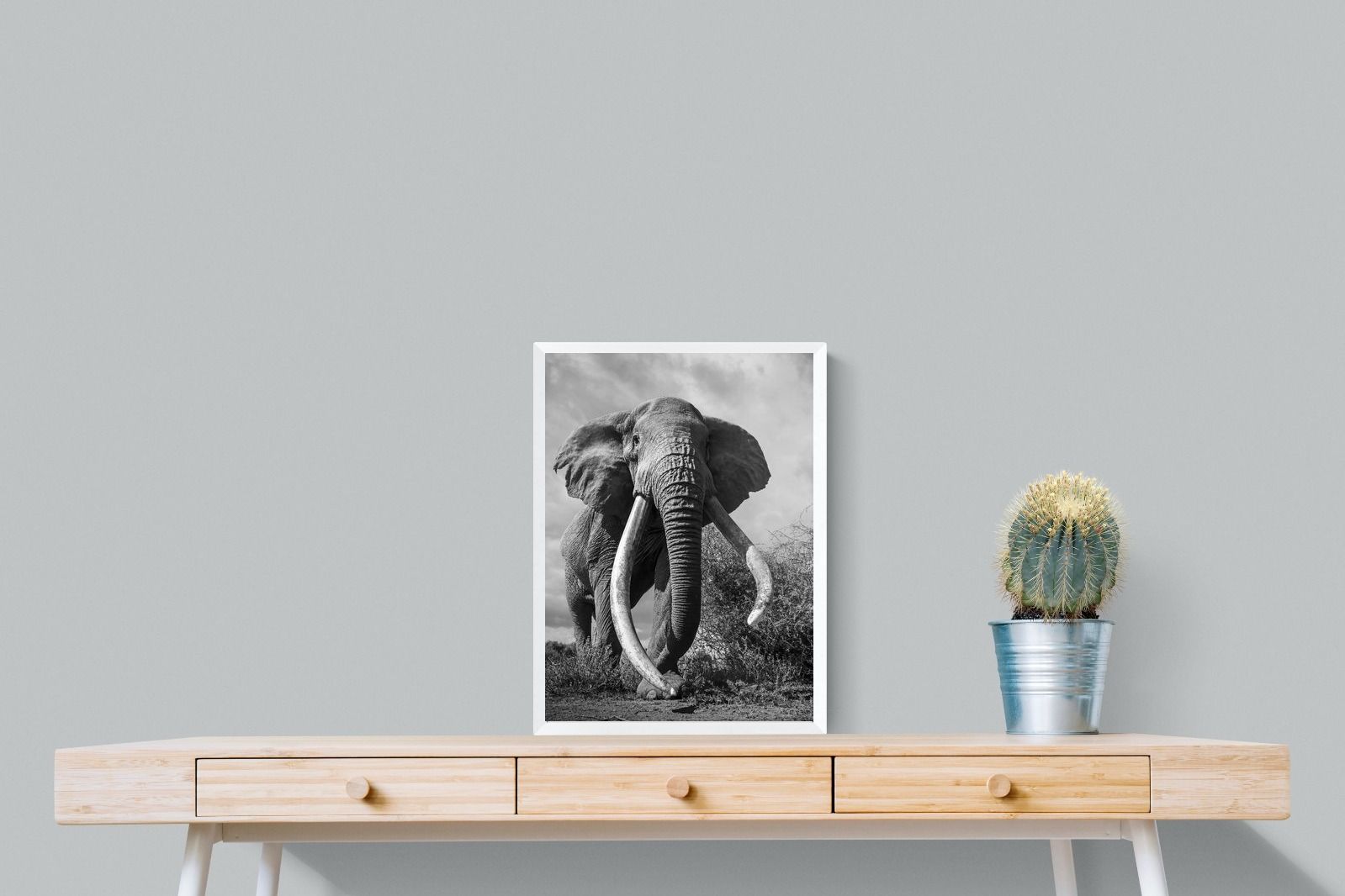 Pixalot Super Tusker