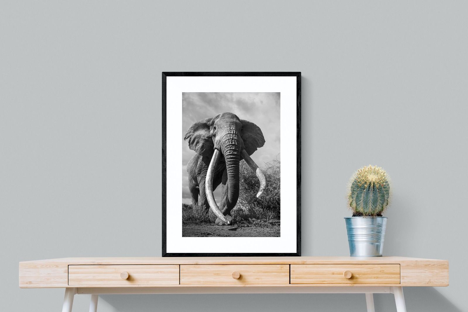 Pixalot Super Tusker