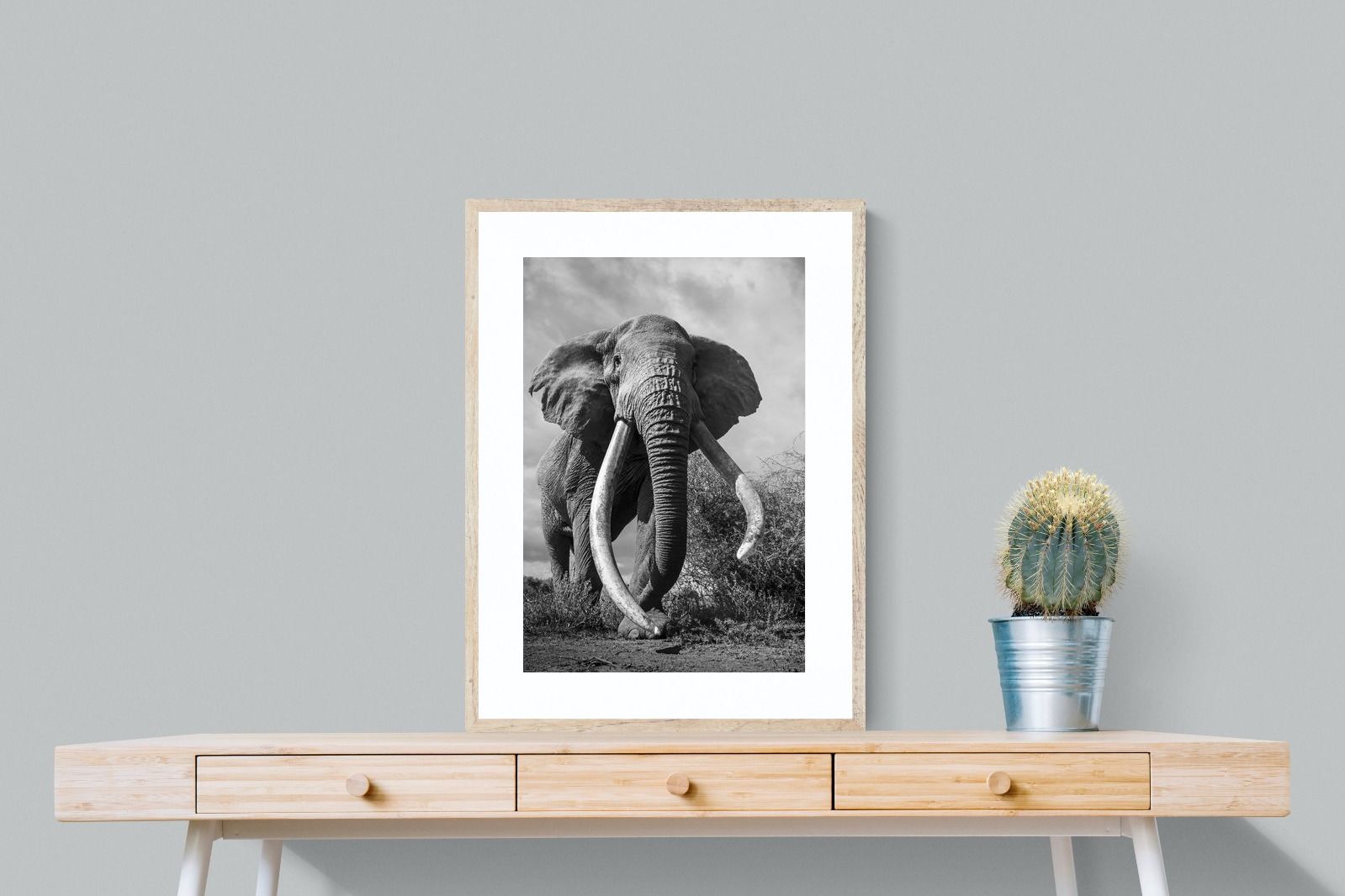 Pixalot Super Tusker