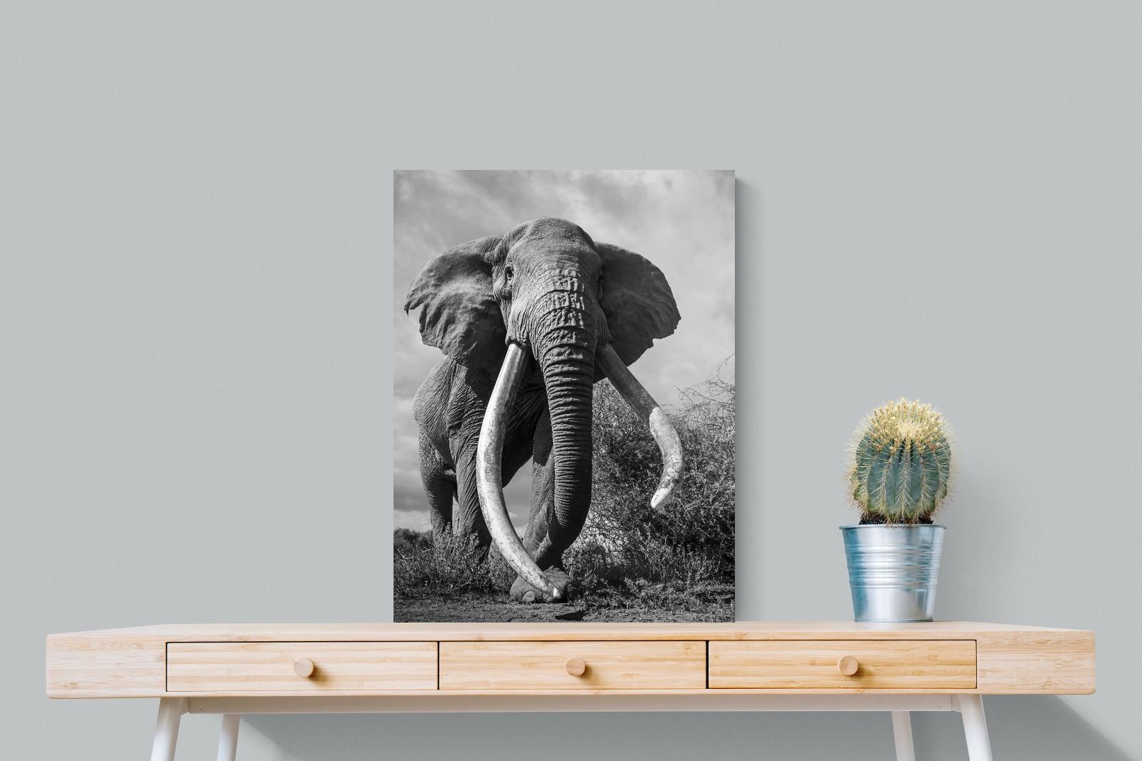 Pixalot Super Tusker