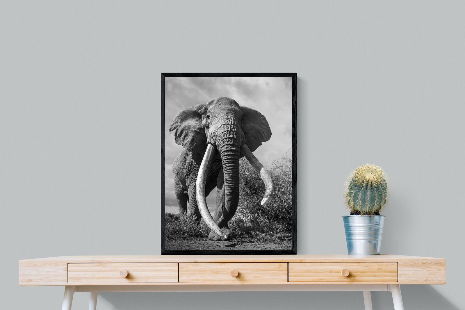 Pixalot Super Tusker