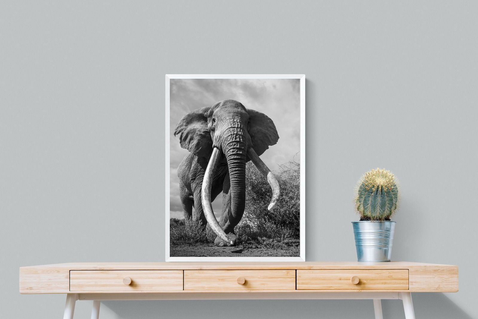 Pixalot Super Tusker