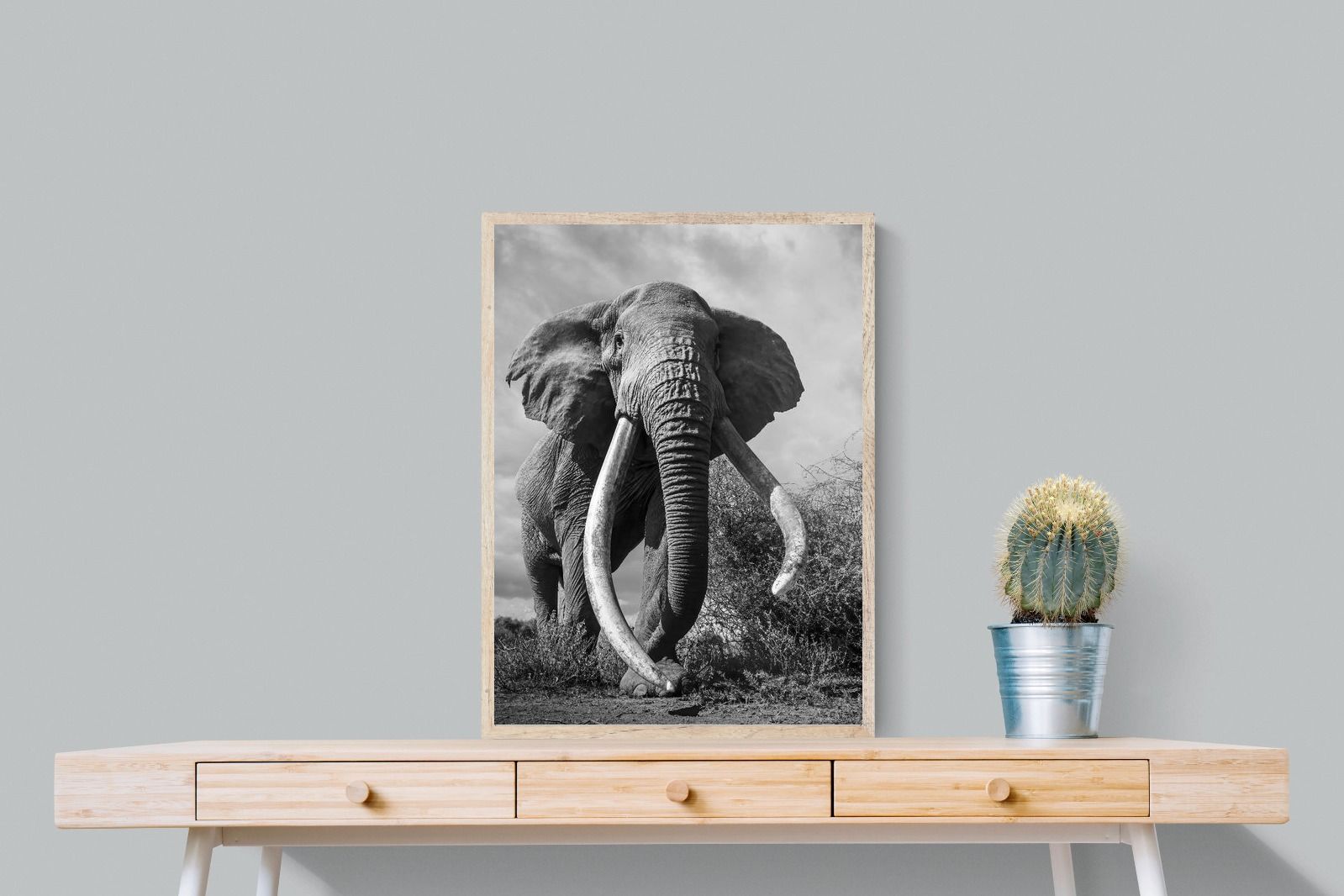 Pixalot Super Tusker