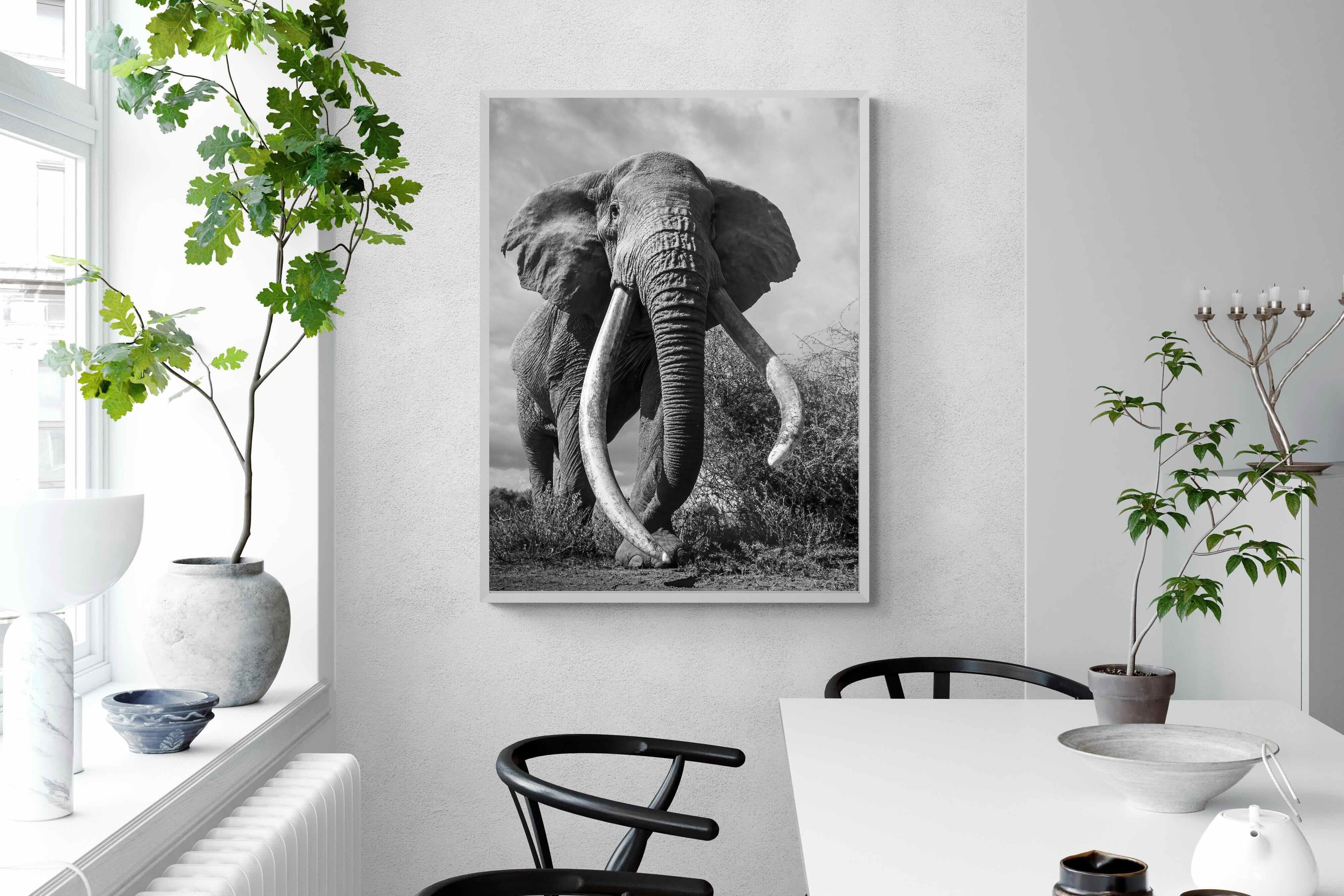 Pixalot Super Tusker