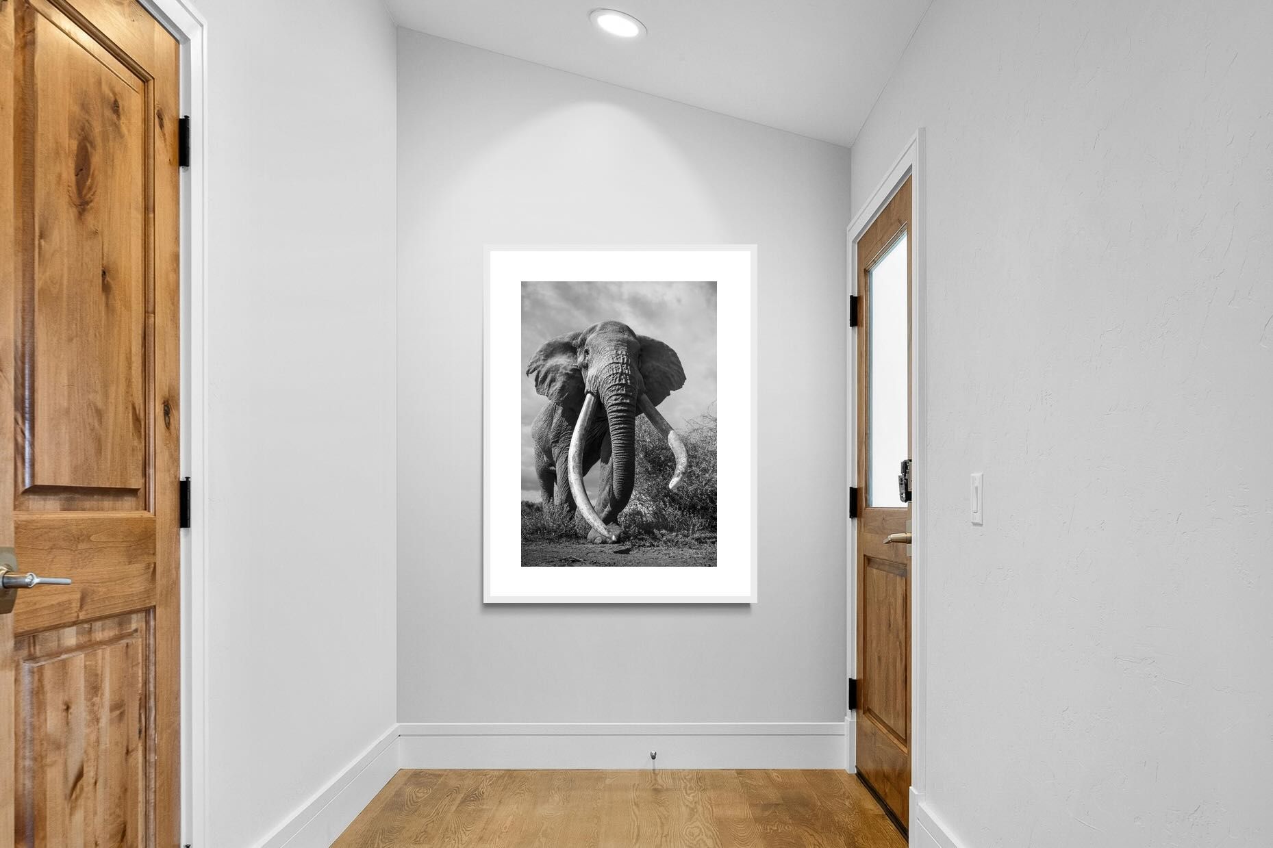 Pixalot Super Tusker