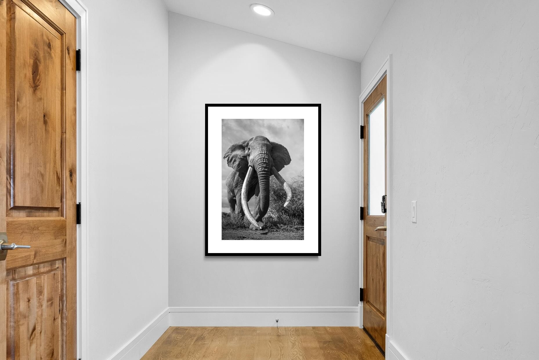 Pixalot Super Tusker