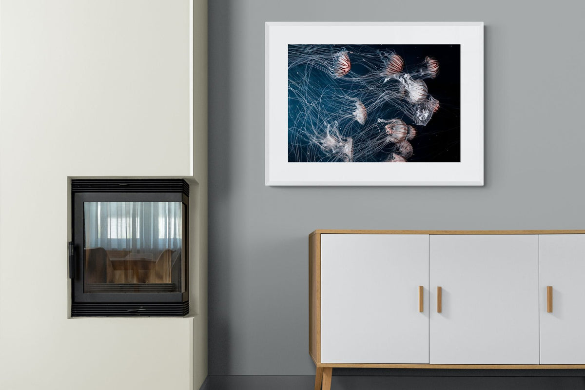 Pixalot ® Surging Jellyfish